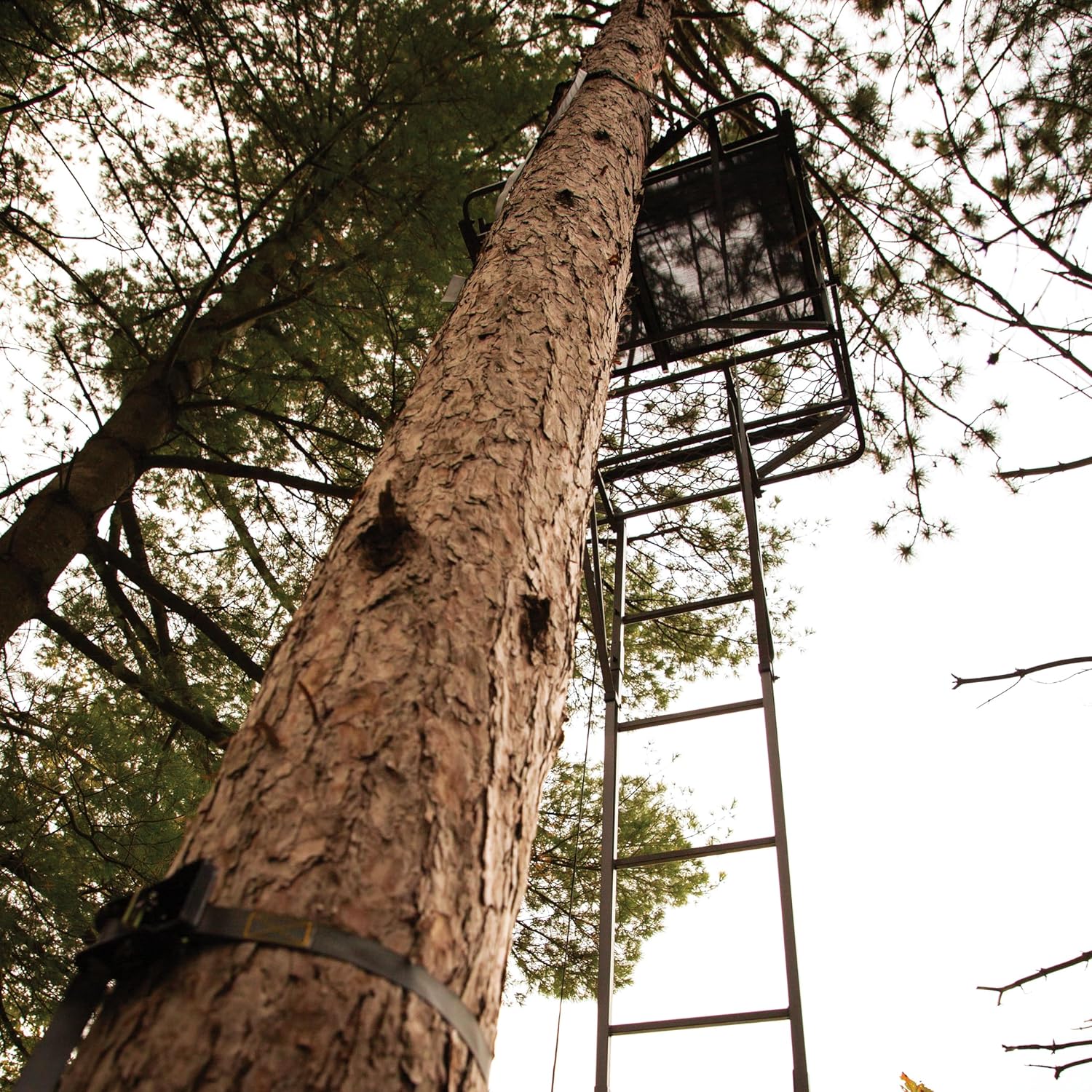 Rivers Edge ArdisamRivers Edge®