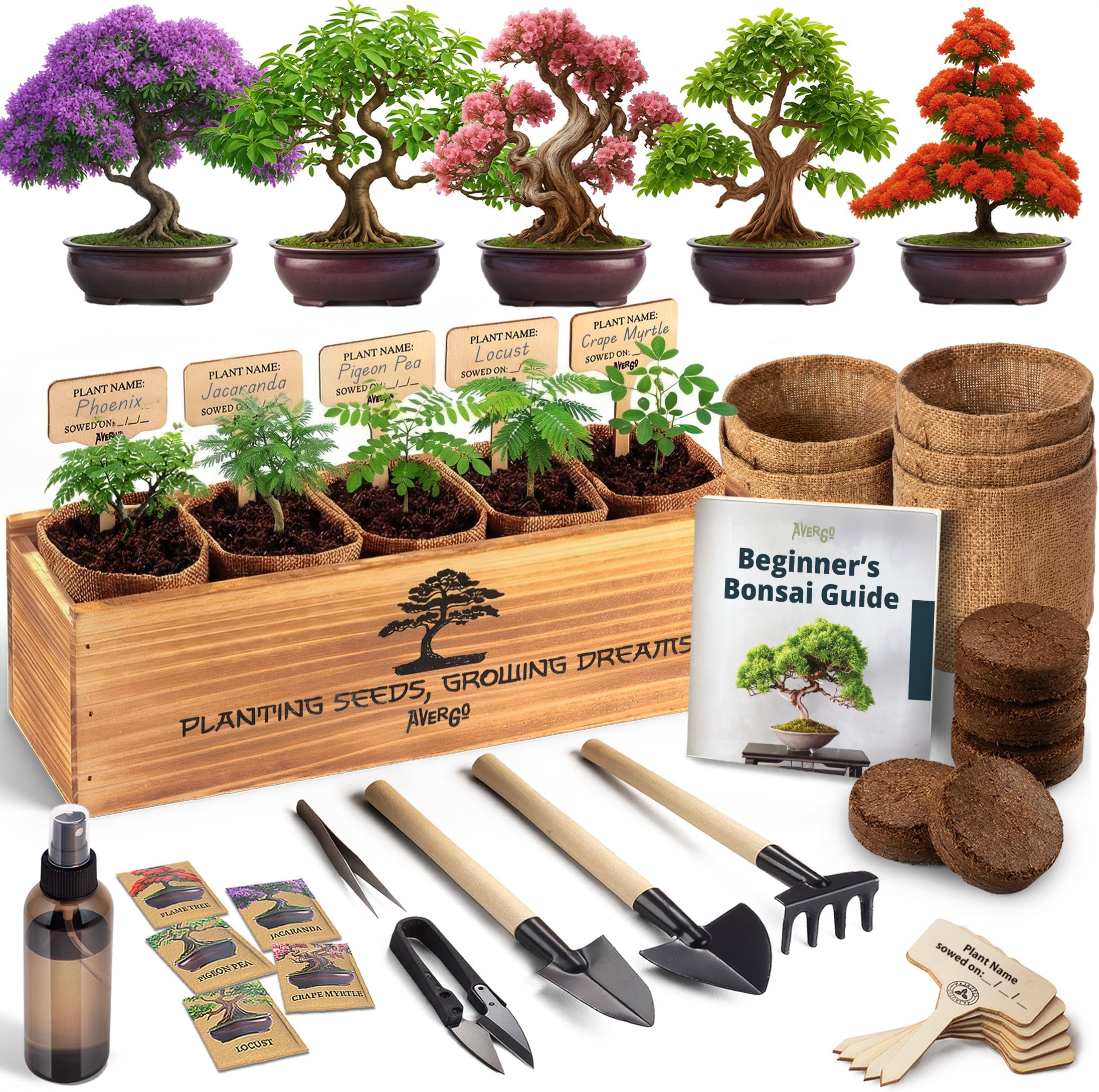 AVERGO Bonsai Tree Kit Classic - 5X Unique Japanese Bonzai Trees | Complete Indoor Bonsai Starter Kits for Growing Trees โ DIY Gardening Gifts for Mother, Women & Men