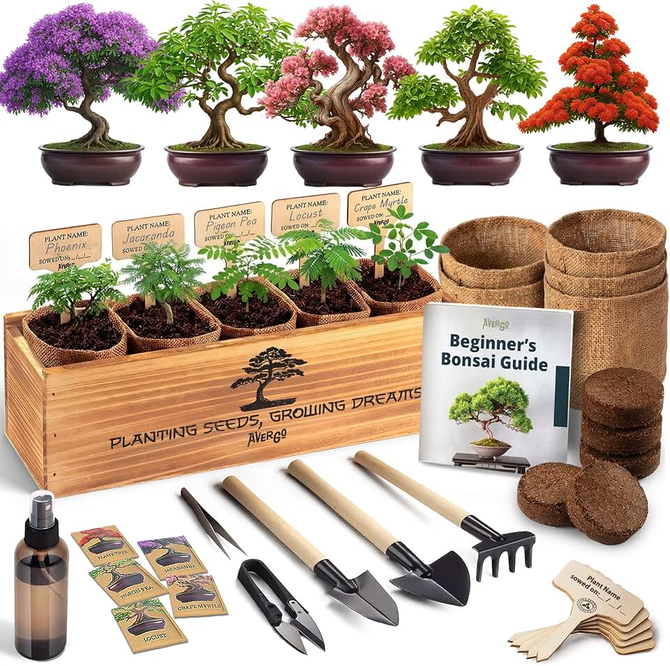 AVERGO Bonsai Tree Kit Classic - 5X Unique Japanese Bonzai Trees | Complete Indoor Bonsai Starter Kits for Growing Trees – DIY Gardening Gifts for Mother's Day, Women &amp; Men