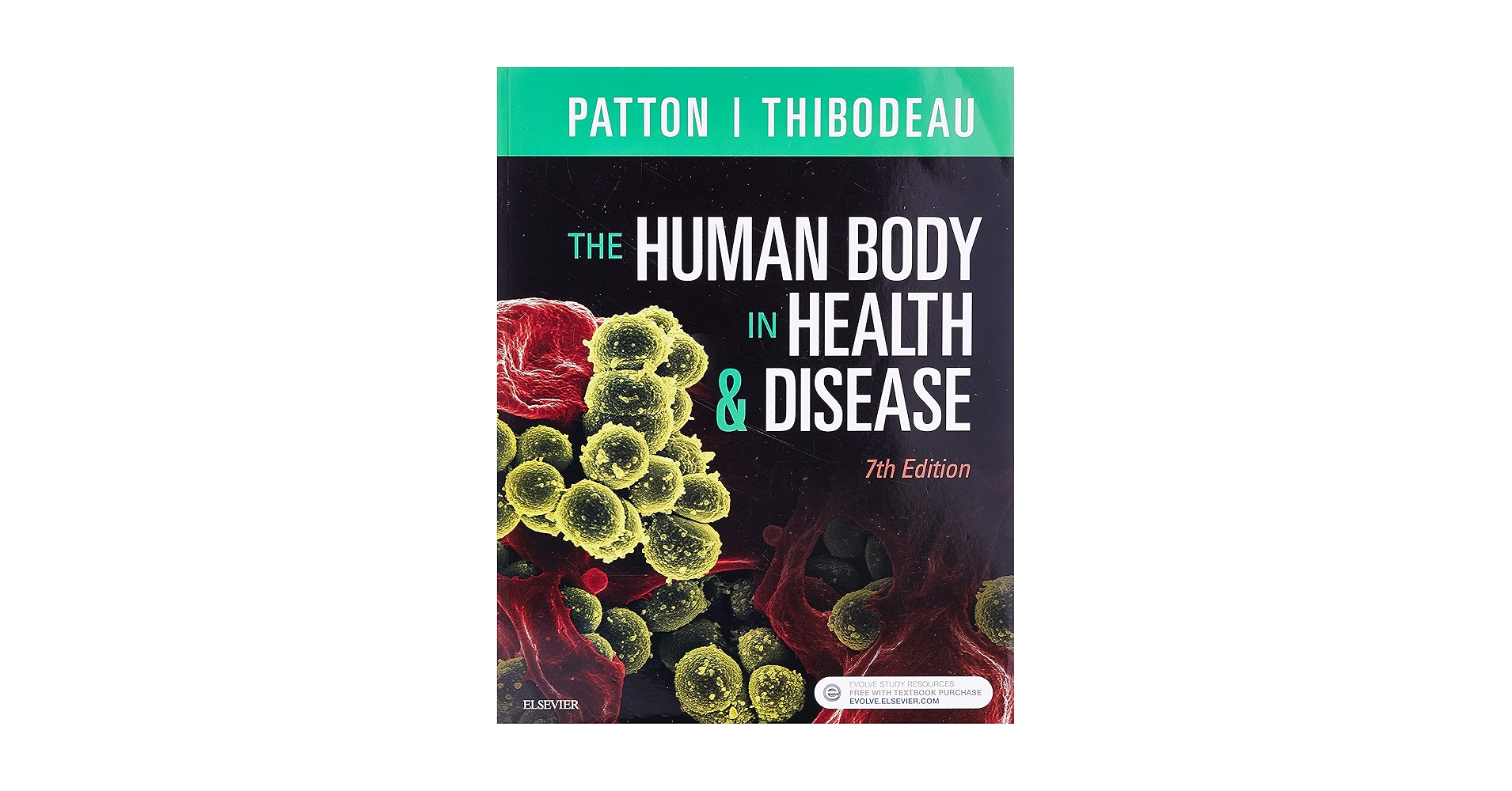 値下げ❗️The Human Body in Health and Illness The Human Body in Health and Illness: 9780323498449