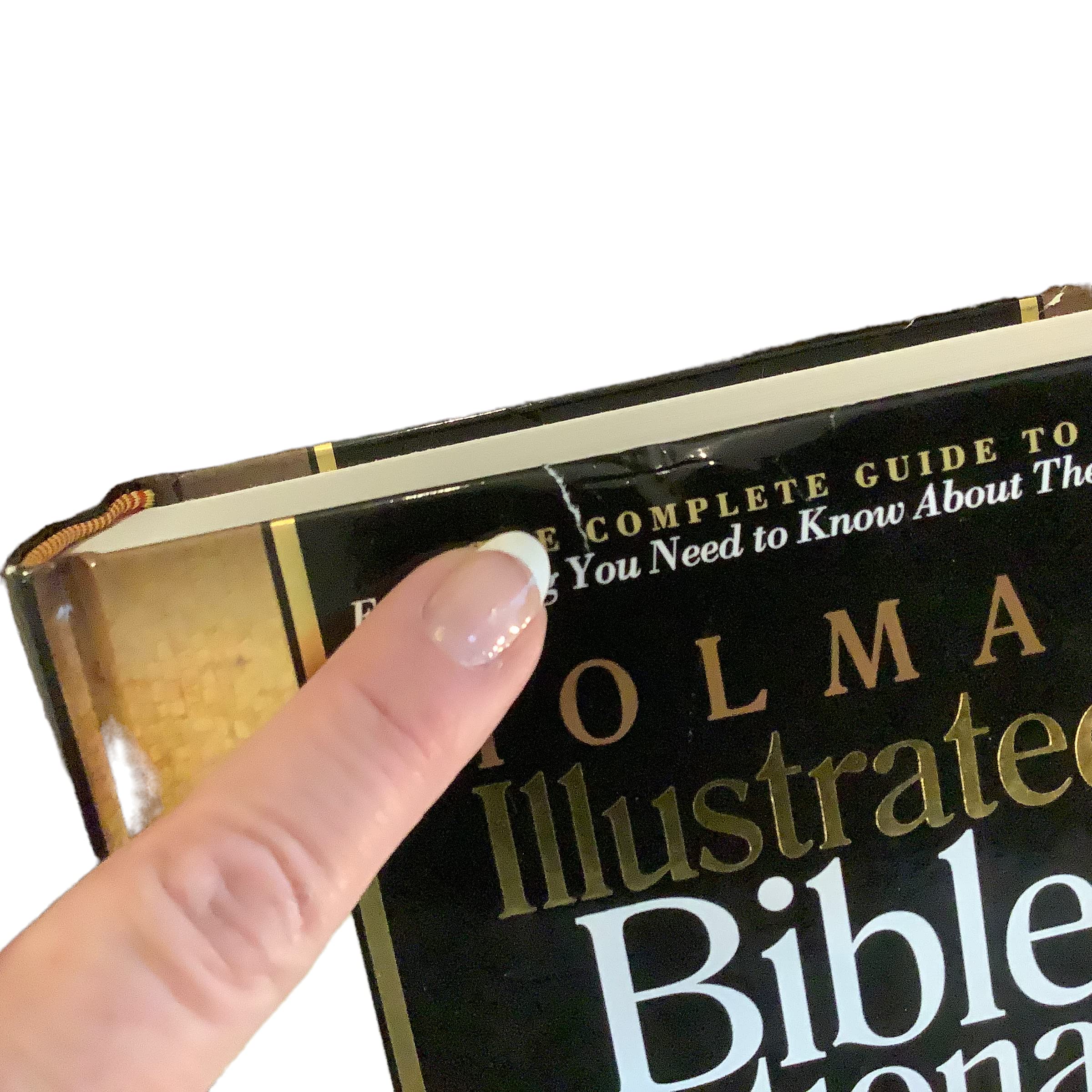 Holman Illustrated Bible Dictionary - Image 5