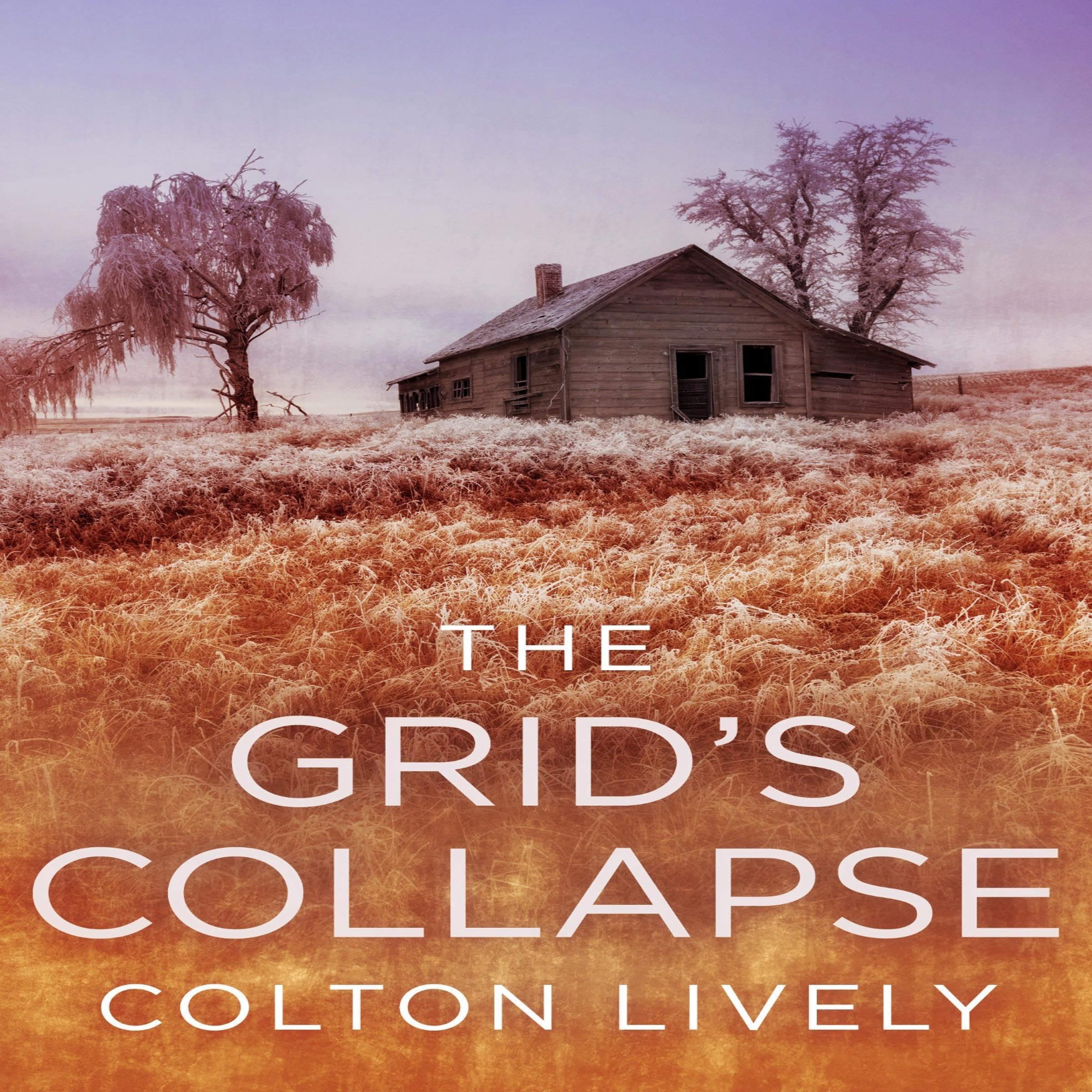 Cover art for The Grid's Collapse