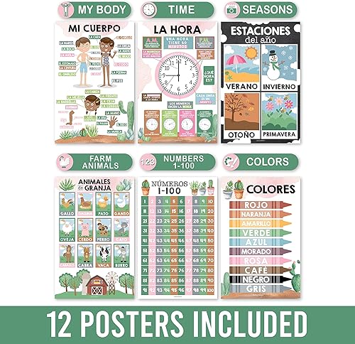 Miniatura 4 de 12 carteles de cactus en español para decoraciones de aula para profesores de preescolar - Carteles de aula de español para primaria, carteles