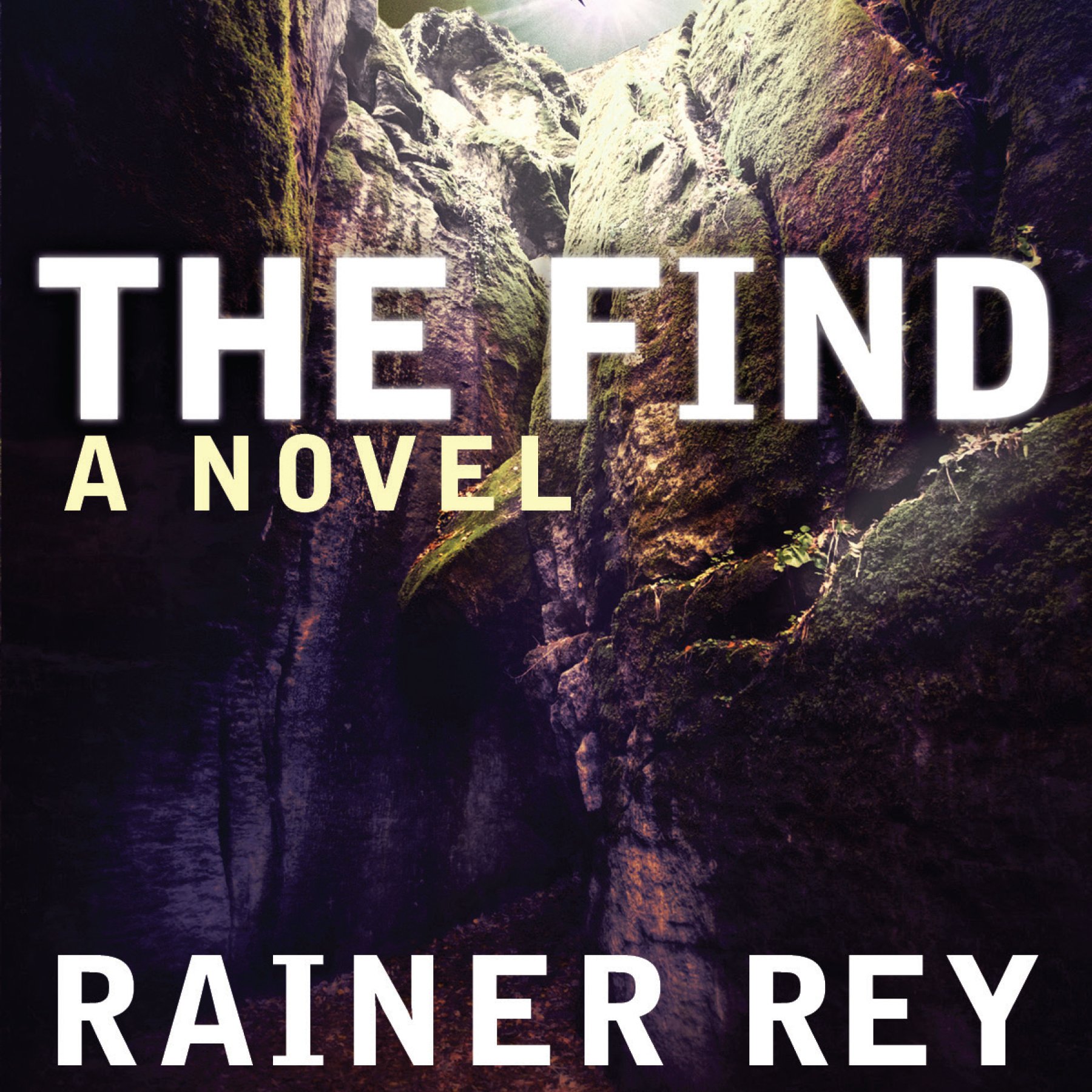 Cover art for The Find