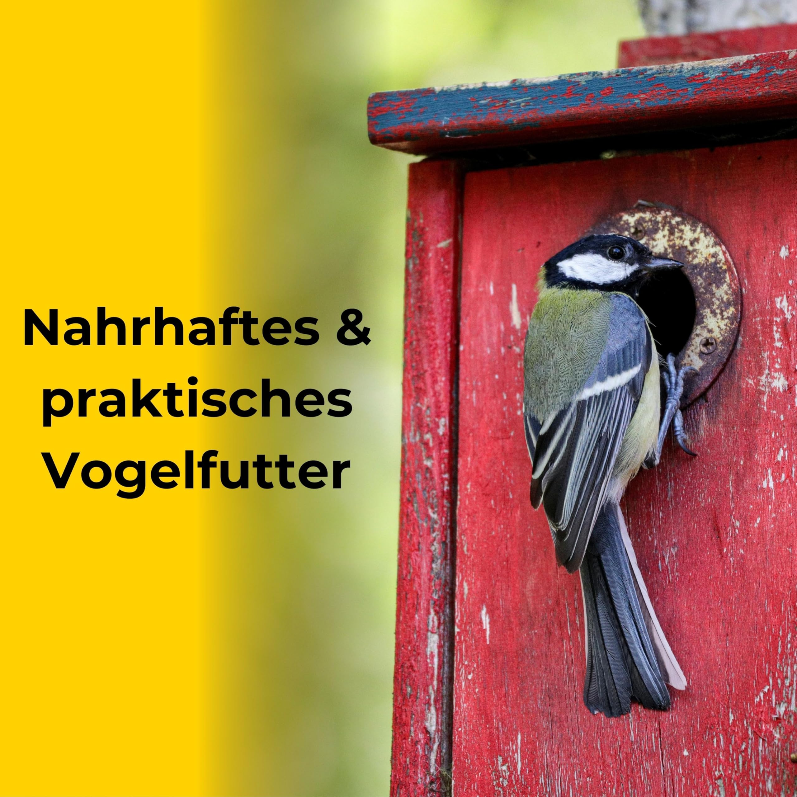 Boill/Sonnenblumenkerne 100% gestreift 25 kg - Vogelfutter direkt vom Hersteller, Wildvögel Garten Futter Neue Ernte 2025 ganzjahresfutter fettfutter 25000 g
