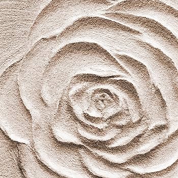 アイリスの水彩画額装済み アイリスの水彩画額装済み