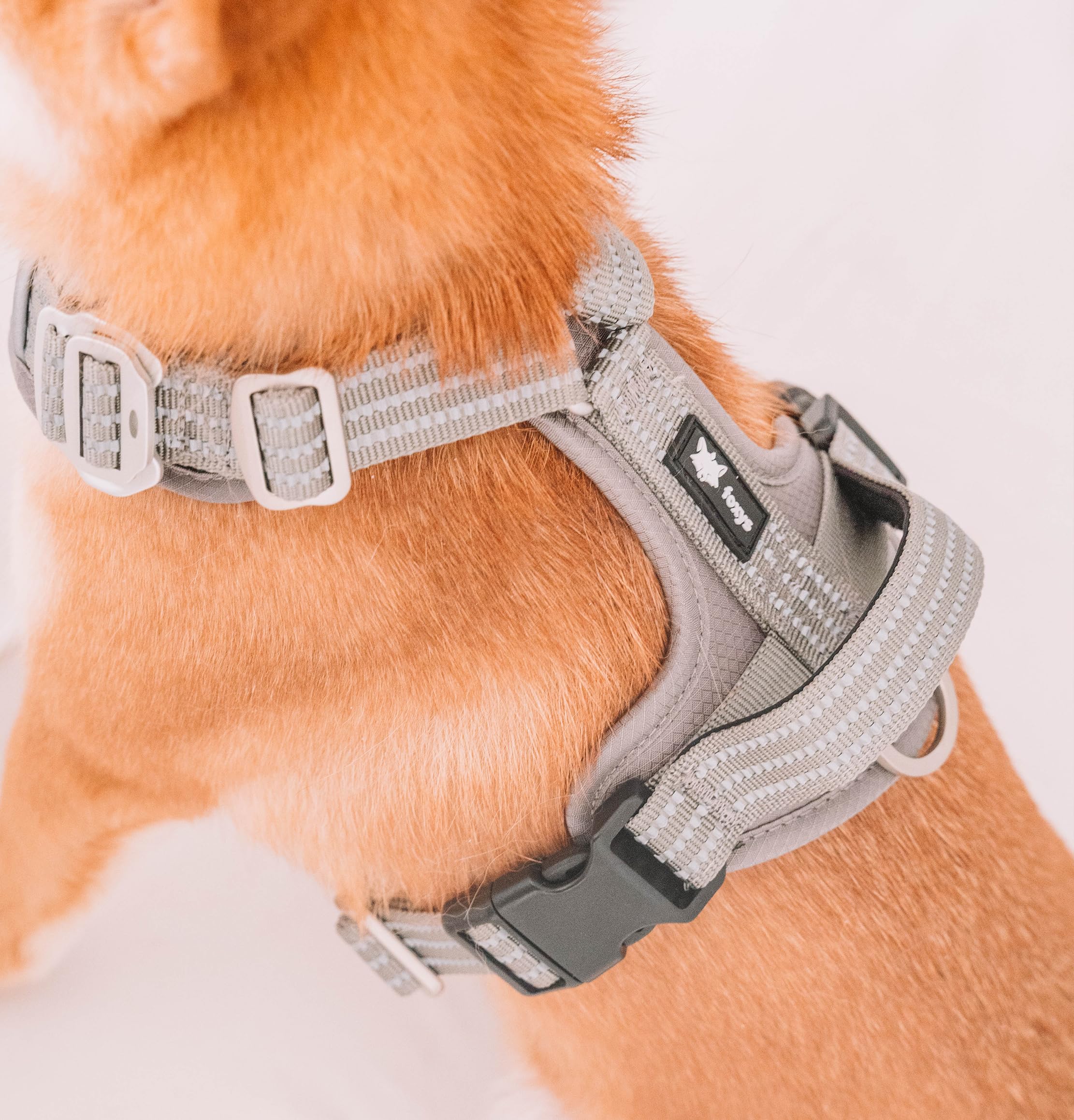 Foxys® CountryFox™ Pro, ergonomisches Hundegeschirr, robust, gepolstert, leicht und verstellbar, Grau, Größe L