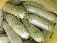 Vista 9 de Semillas Squash calabacines aspirant blanco vegetal Heirloom orgánico ruso Ucrania