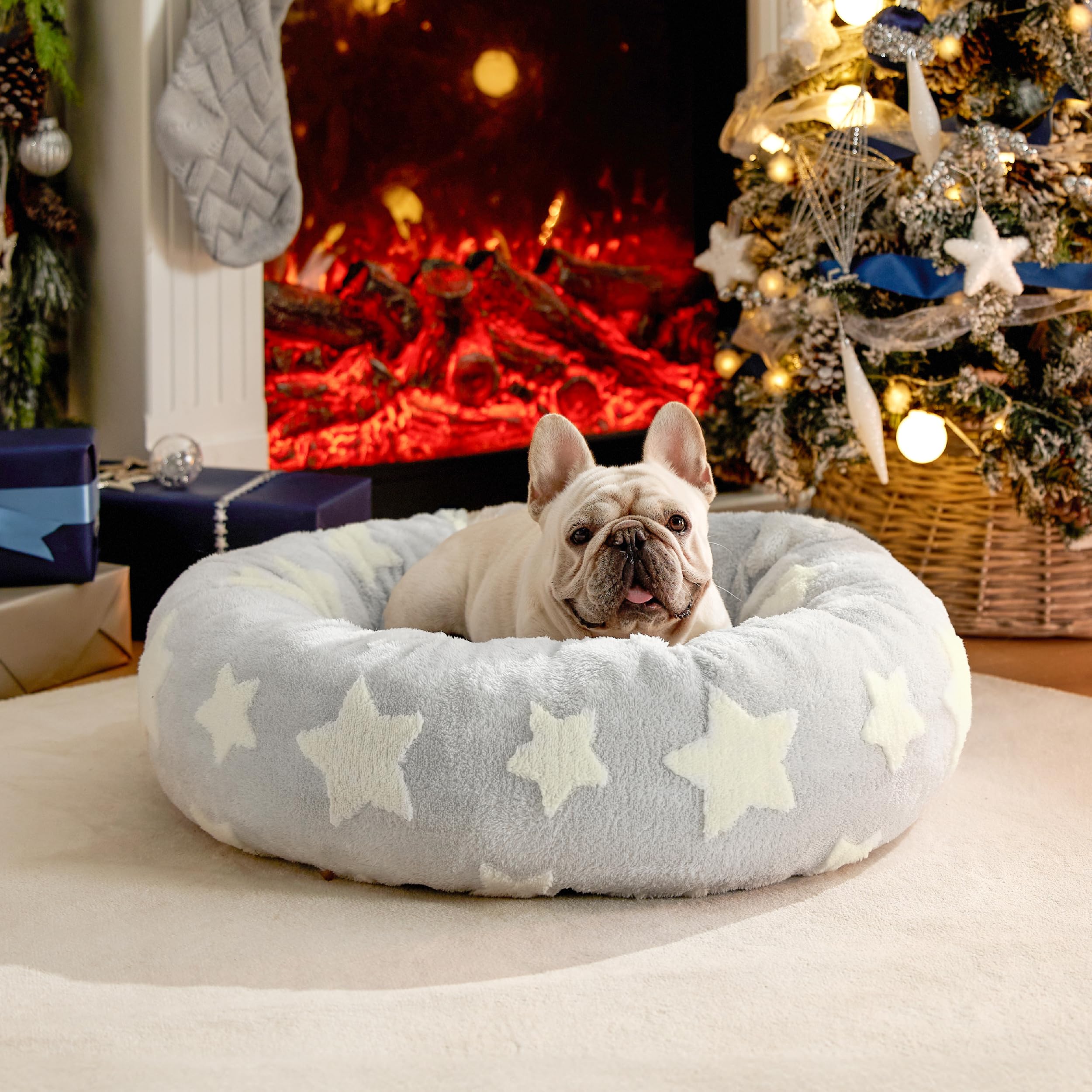 LE SURE Donut Medium Dog Bed - Round Cat Sofa for Indoor Cats Calming Bed Gift for Pets, Cute Modern Beds with Jacquard Shaggy Plush & Anti Slip