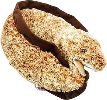 91Jr3DMpQtL._AC_UF350,