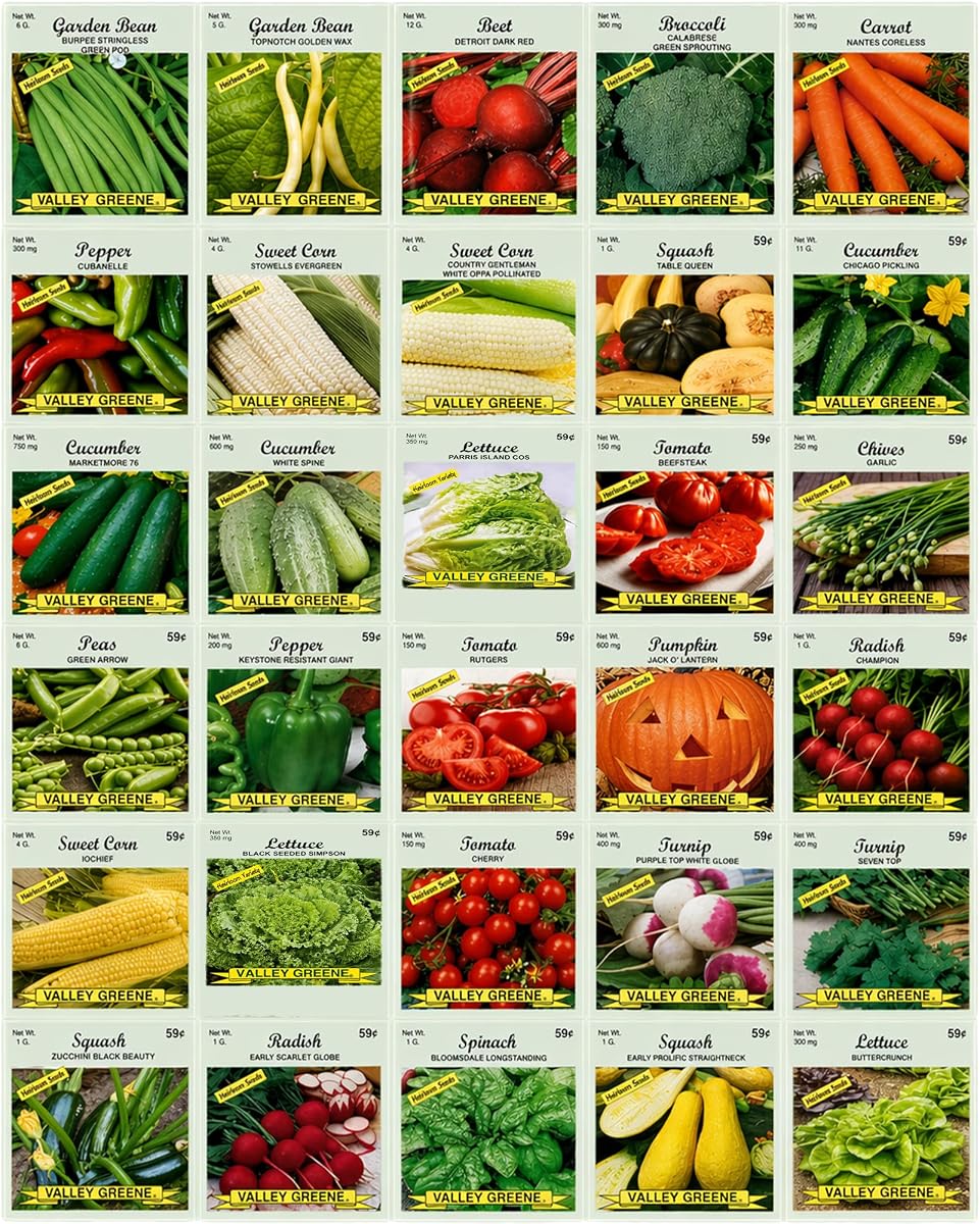 30 Packs of Deluxe Valley Greene Heirloom Vegetable Garden Seeds Non-GMO(Guaranteed 30 Different Varieties as Listed)