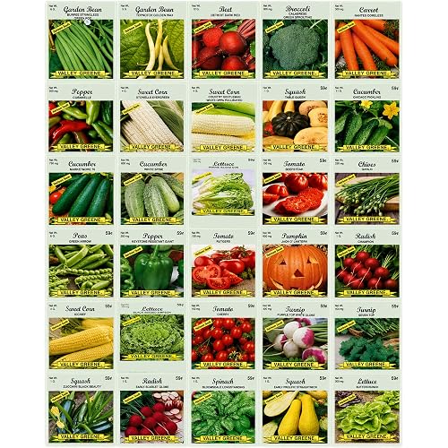 30 Packs of Deluxe Valley Greene Heirloom Vegetable Garden Seeds Non-GMO(Guaranteed 30 Different Varieties as Listed)