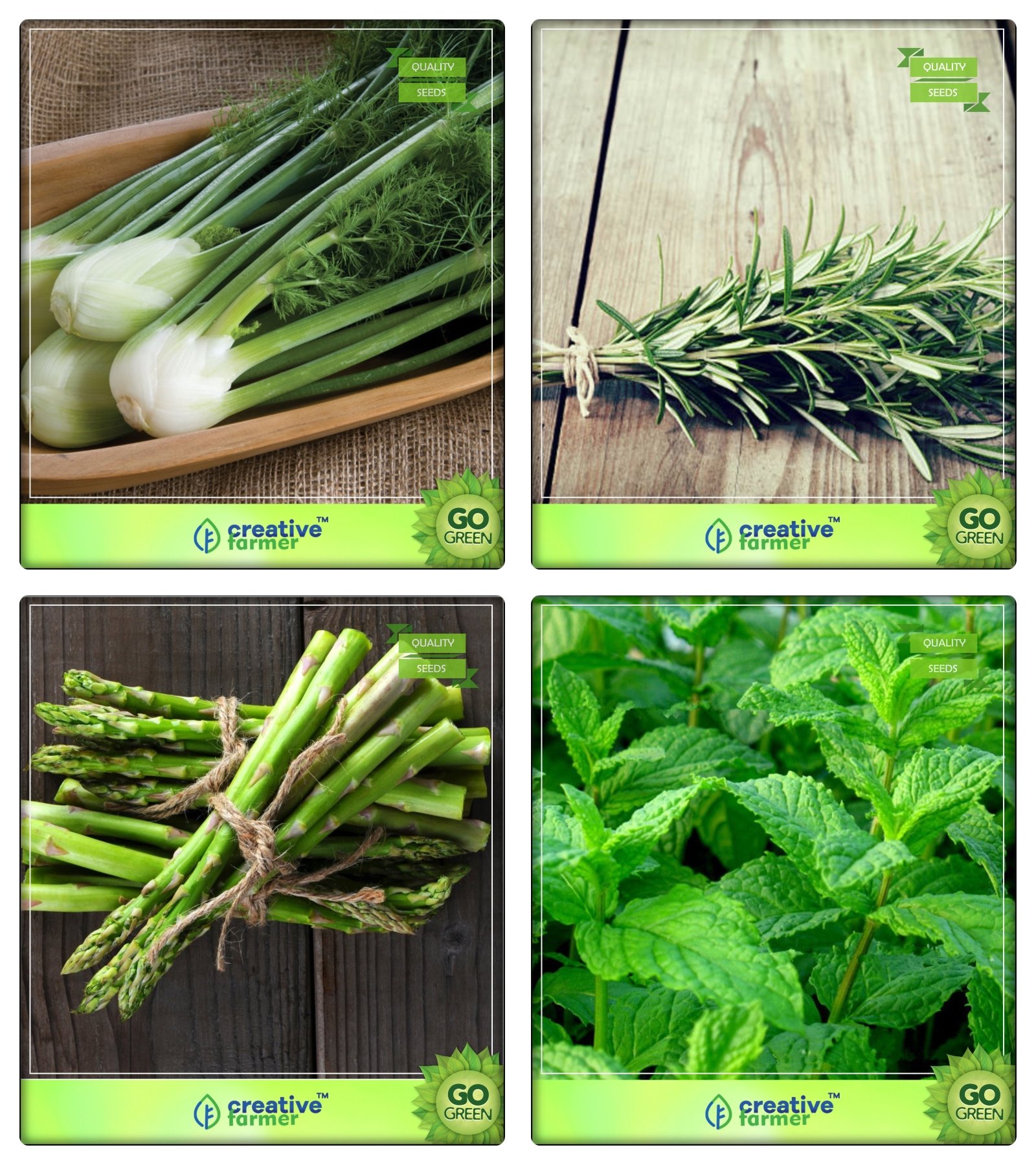 Creative Farmer Combo Herb Plant Seeds Fennel Folrance, Rosemary, Asparagus, Mint Herb Seeds Combo Pack (B078V3BQKH) Amazon Price History, Amazon Price Tracker