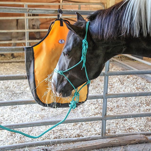 Foto 5 de 7 de Majestic Ally Cabestro de Entrenamiento de poliéster rígido con 4 Nudos de Cuerda de 1/4 Pulgadas con Cuerda…