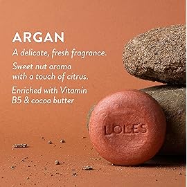 LOLE\'S Shampoo Bar and Conditioner 2in1 with Argan Oil for Normal to Oily Hair, Repair & Damage Control, 99% Natural, Sustainably Sourced, 3.5Oz