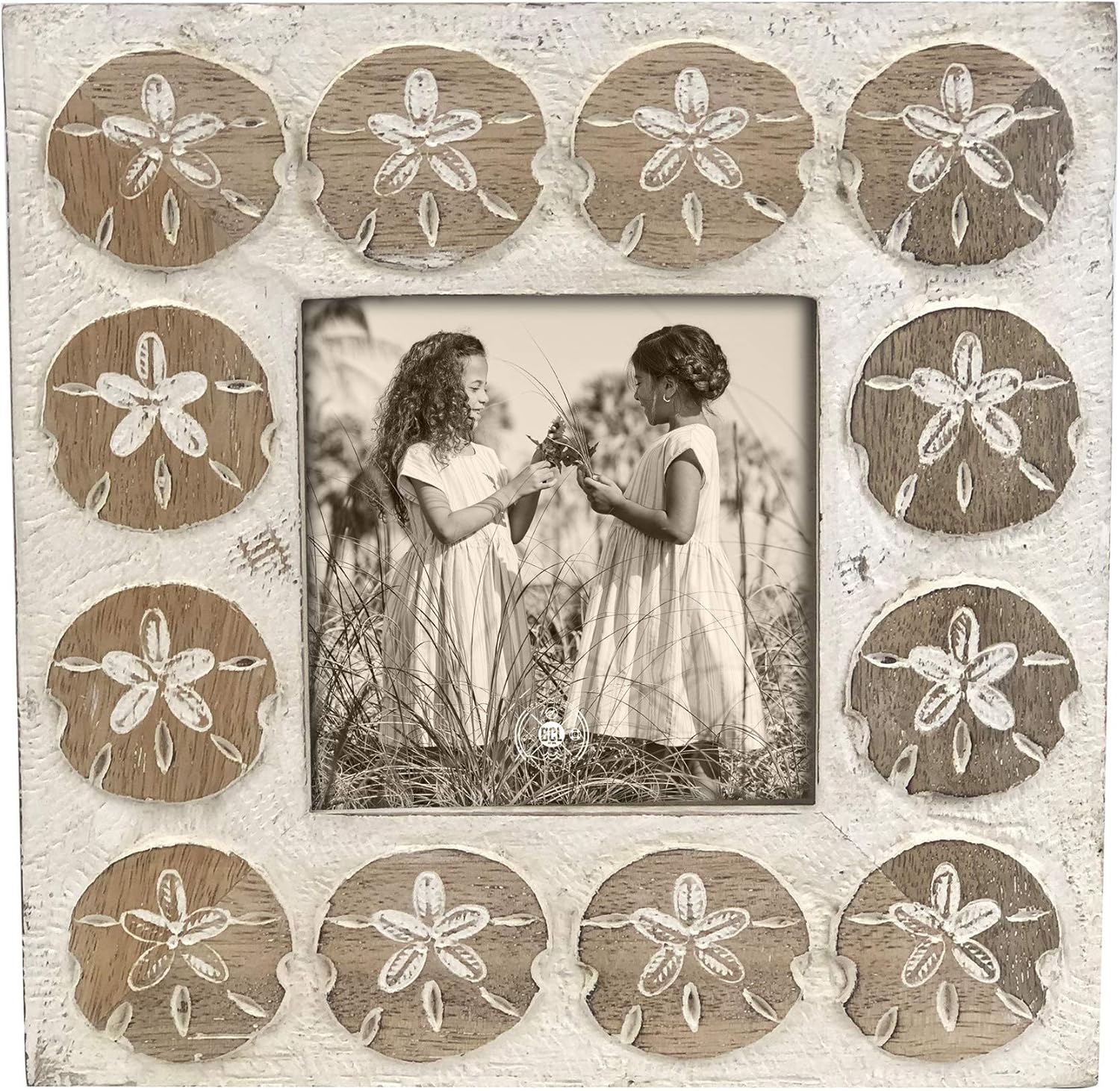 Beachcombers Square Sand Dollar Picture Frame With Whitewash Mango Wood Composite Home Decor Beach Coastal 11.25" X 2.37" X 1.75" White