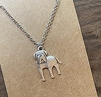 Vista 28 de Collar de raza de perro Grupo A