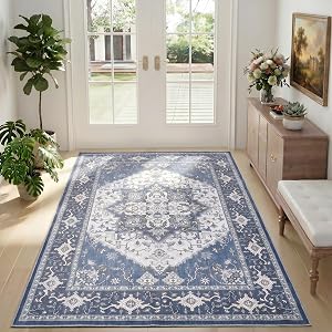 3x5 Washable Area Rug for Living Room, Ultra-Thin Vintage, Blue & Multi | Stain Resistant Boho Non-slip Distressed Area Rugs Soft Carpet for Entrance Kids Playroom Dining Room Classroom Office