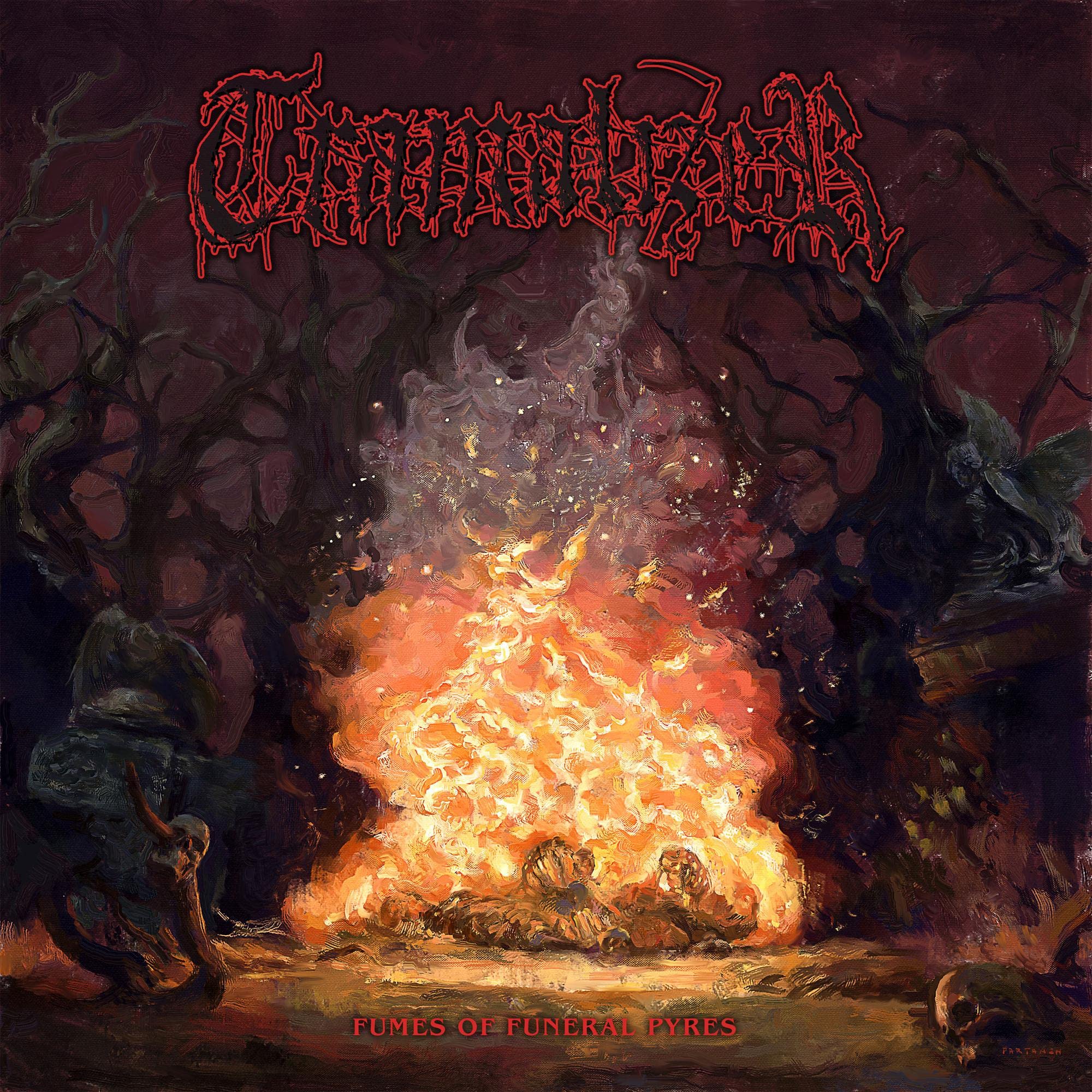 Fumes of Funeral Pyres [VINYL]