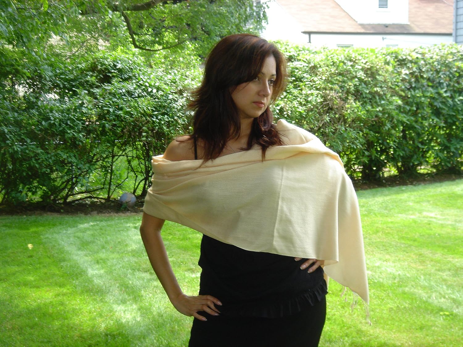 Scarf,shawl,wrap,scarves,Pashmina shawl from Cashmere Pashmina Group (Champagne)