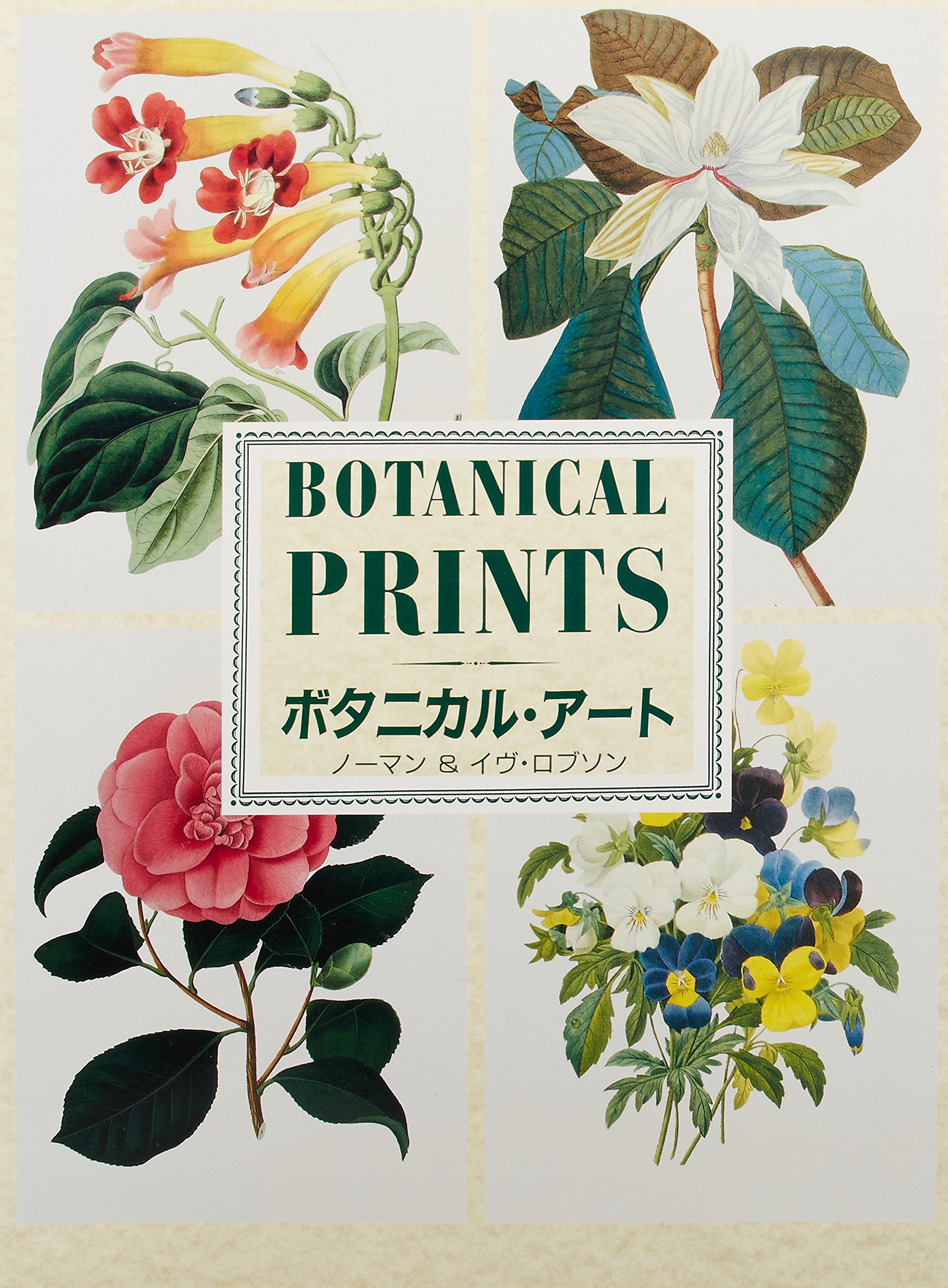 ボタニカル アート ロブソン ノーマン ロブソン イヴ 清一郎 染矢 本 通販 Amazon