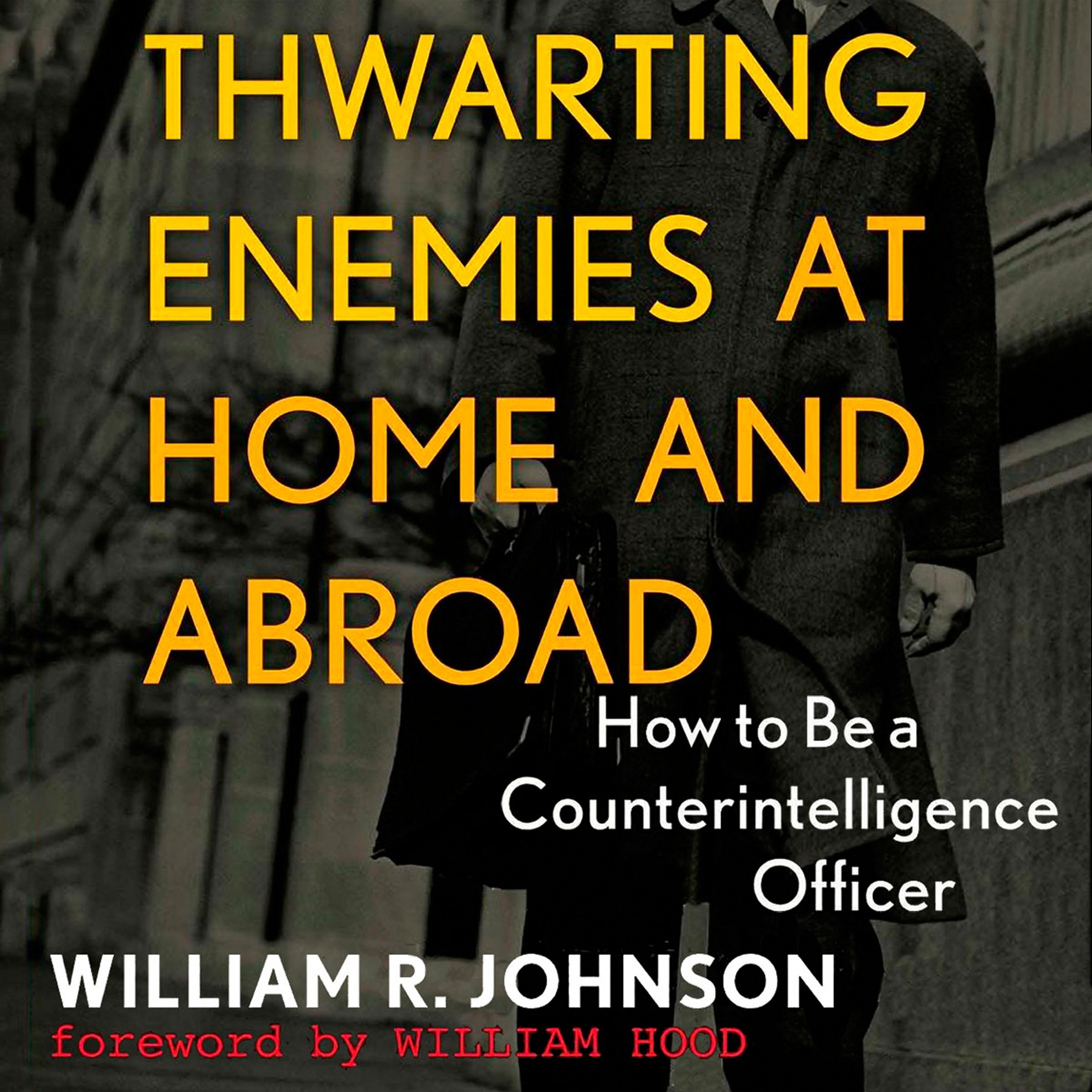 Thwarting Enemies at Home and Abroad