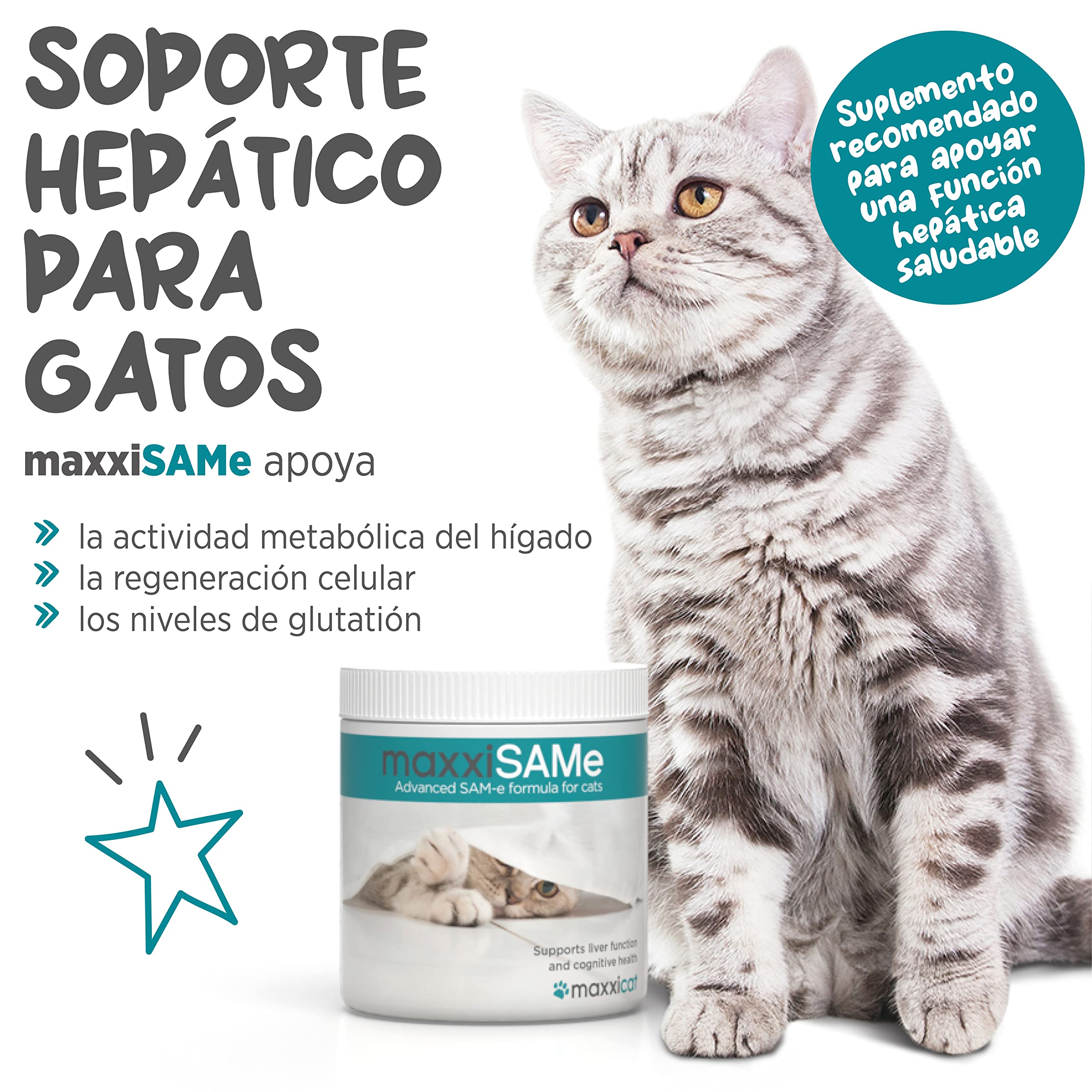 maxxipaws maxxiSAMe Suplemento en Polvo Avanzado de Sam-e – Apoyo para el Hígado, la Cognición y Las Articulaciones para Gatos, 90g