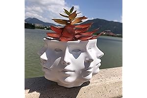 Adorable Multi-Face Succulent Planter