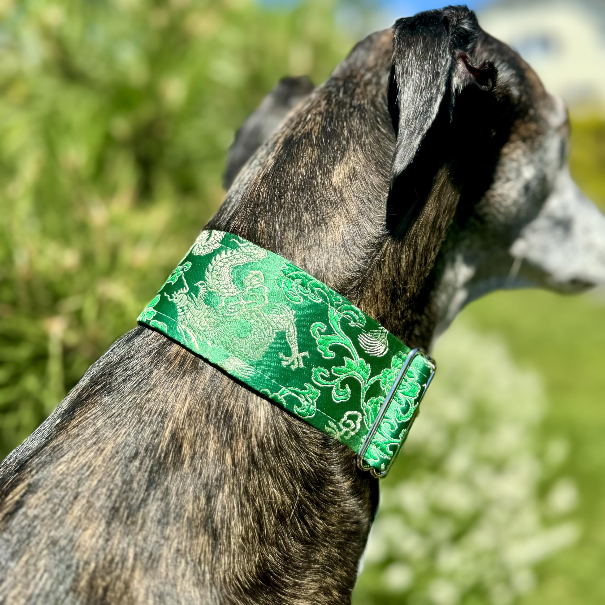 SGang Extra Soft Martingale Dog Collar for Greyhound Saluki Whippet and Other Breeds with Similar Neck 2'' Wide (XL 17”-22”), Green