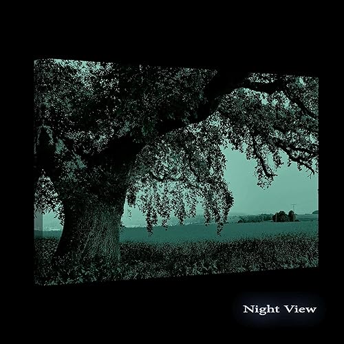 Miniatura 2 de Startonight Lienzo decorativo con motivo de árbol, paisaje abstracto, lago, naturaleza, bosque, negro y blanco, Lona, Amarillo Verde, L