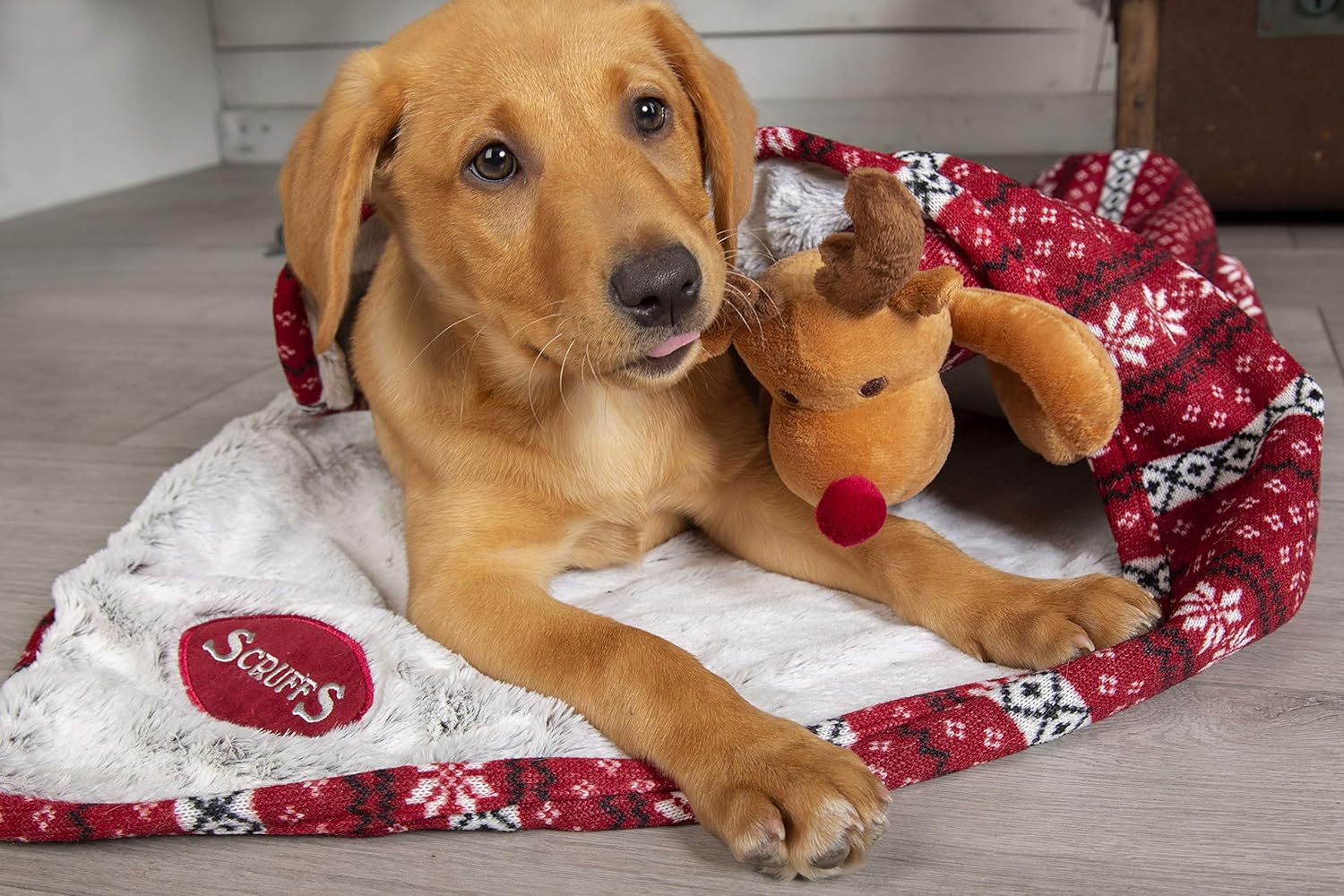 Santa Paws Dog Blanket & Reindeer Toy Gift Set - Red