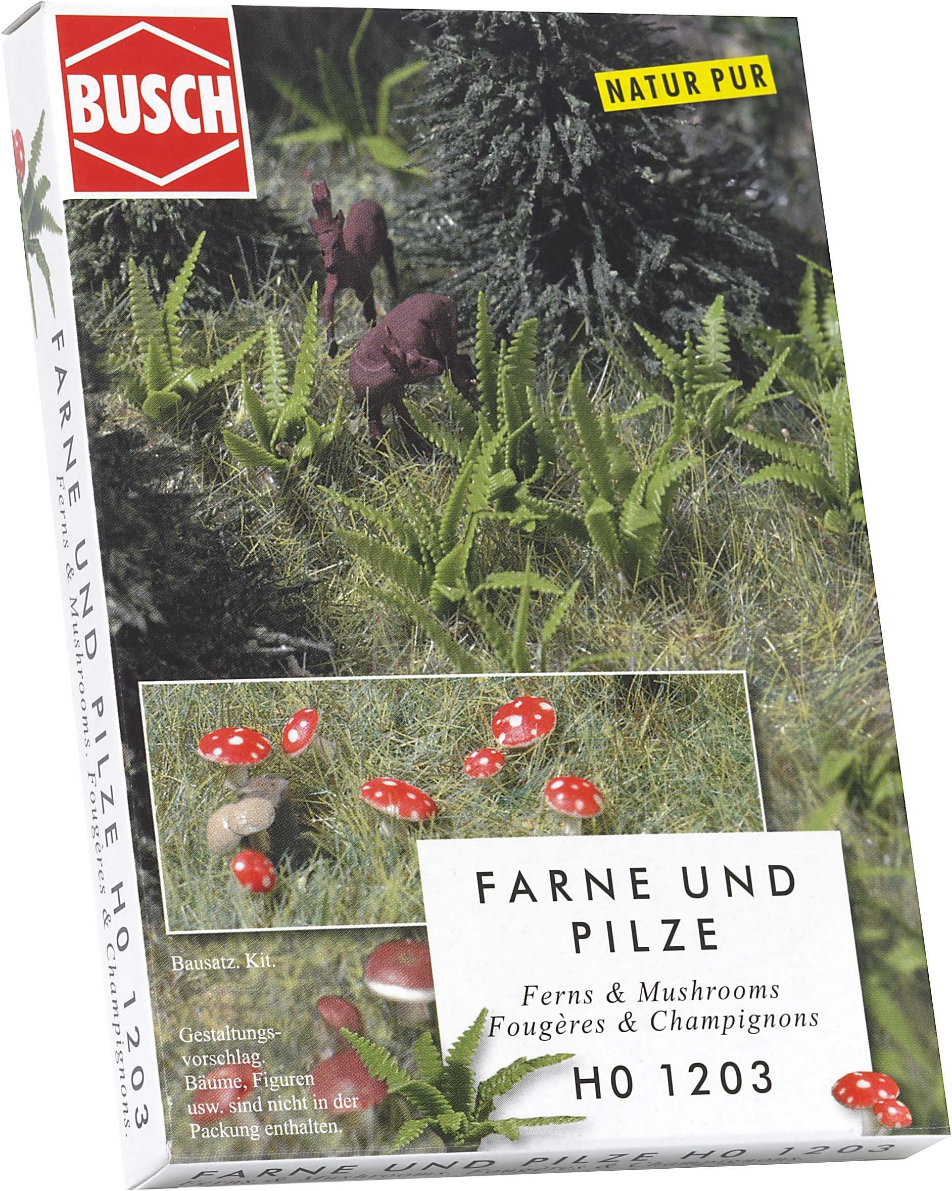 Fern & Mushrooms