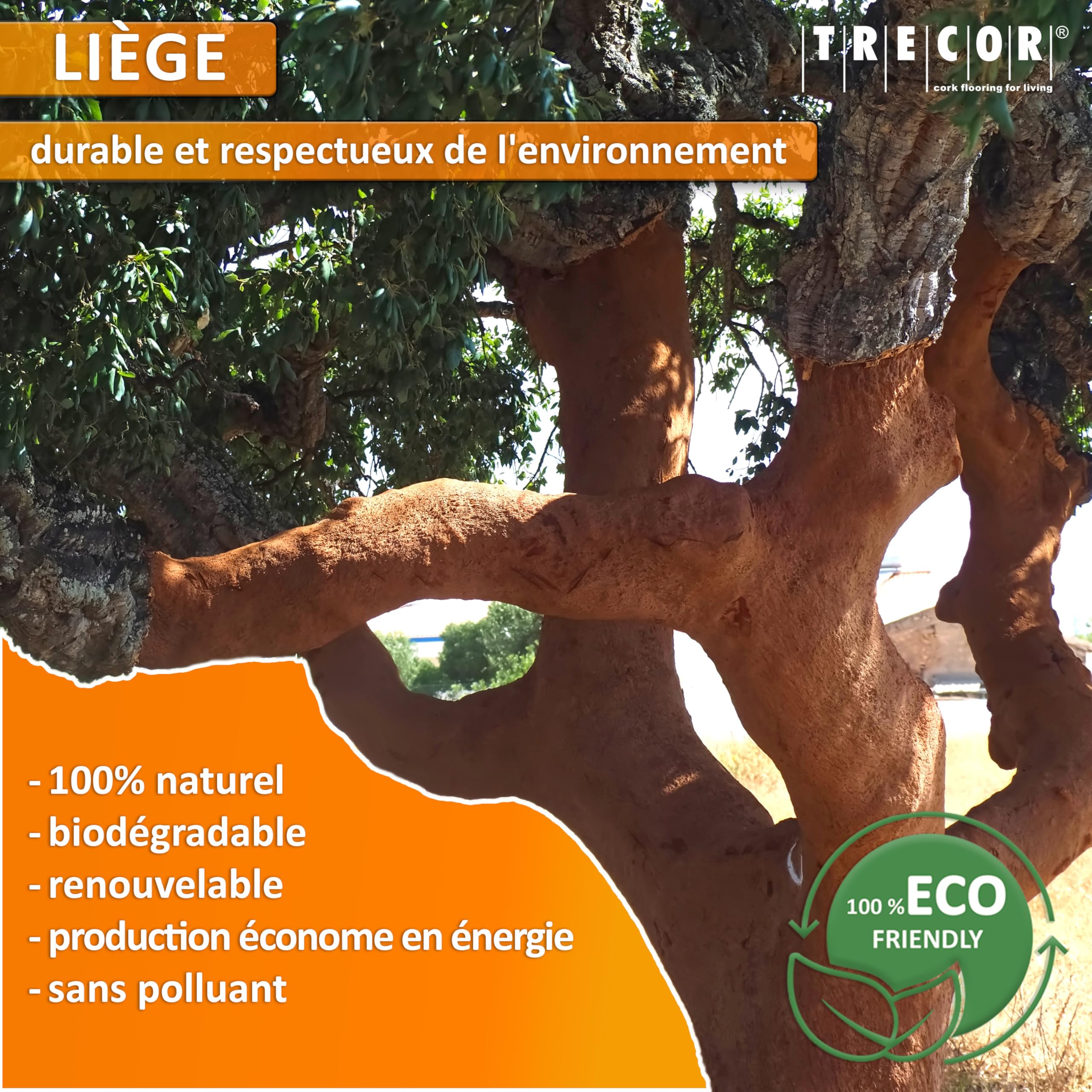 10 m² | Isolation phonique TRECOR Rouleau en liège – Épaisseur 10 mm – Isolation acoustique naturelle et écologique pour sols stratifiés et parquets – 10 m²