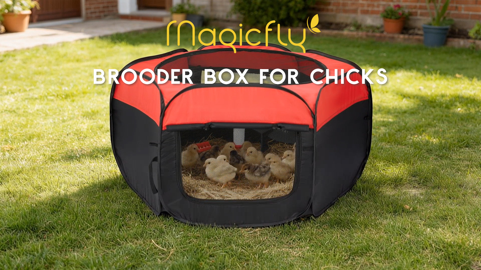 Amazon.com: Magicfly Brooder Box for Chicks Starter Kit with 15 x