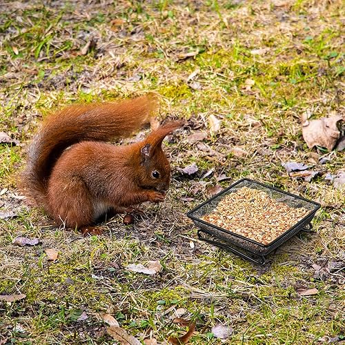 Miniatura 7 de Bandeja de comedero de pájaros para balcón, plataforma compacta de 7 x 7 x 2 pulgadas, bandeja de semillas de pájaros con 4 cuerdas elásticas fijas