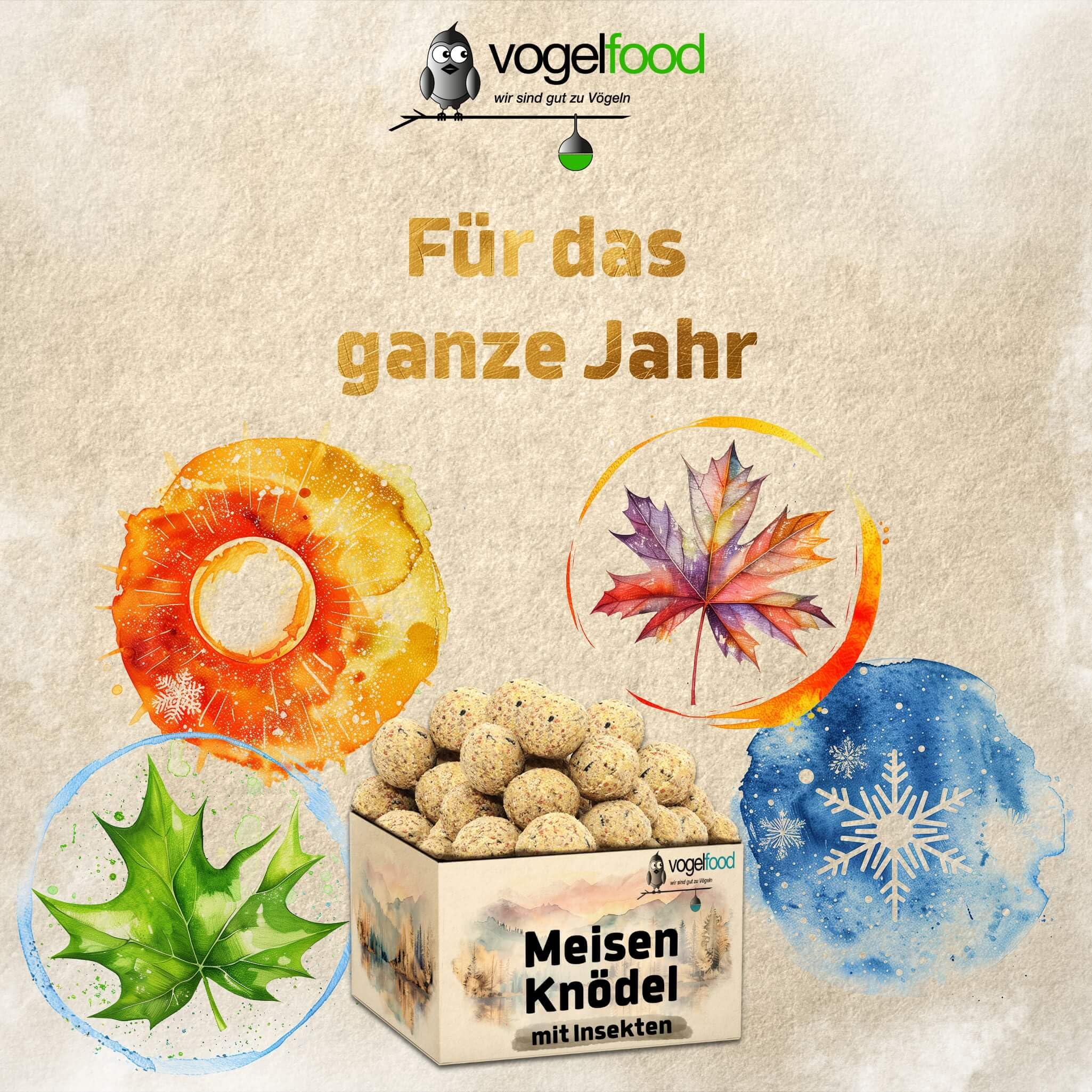 Samore 100 x 90 g Meisenknödel im Eimer für Wildvögel (mit Insekten)