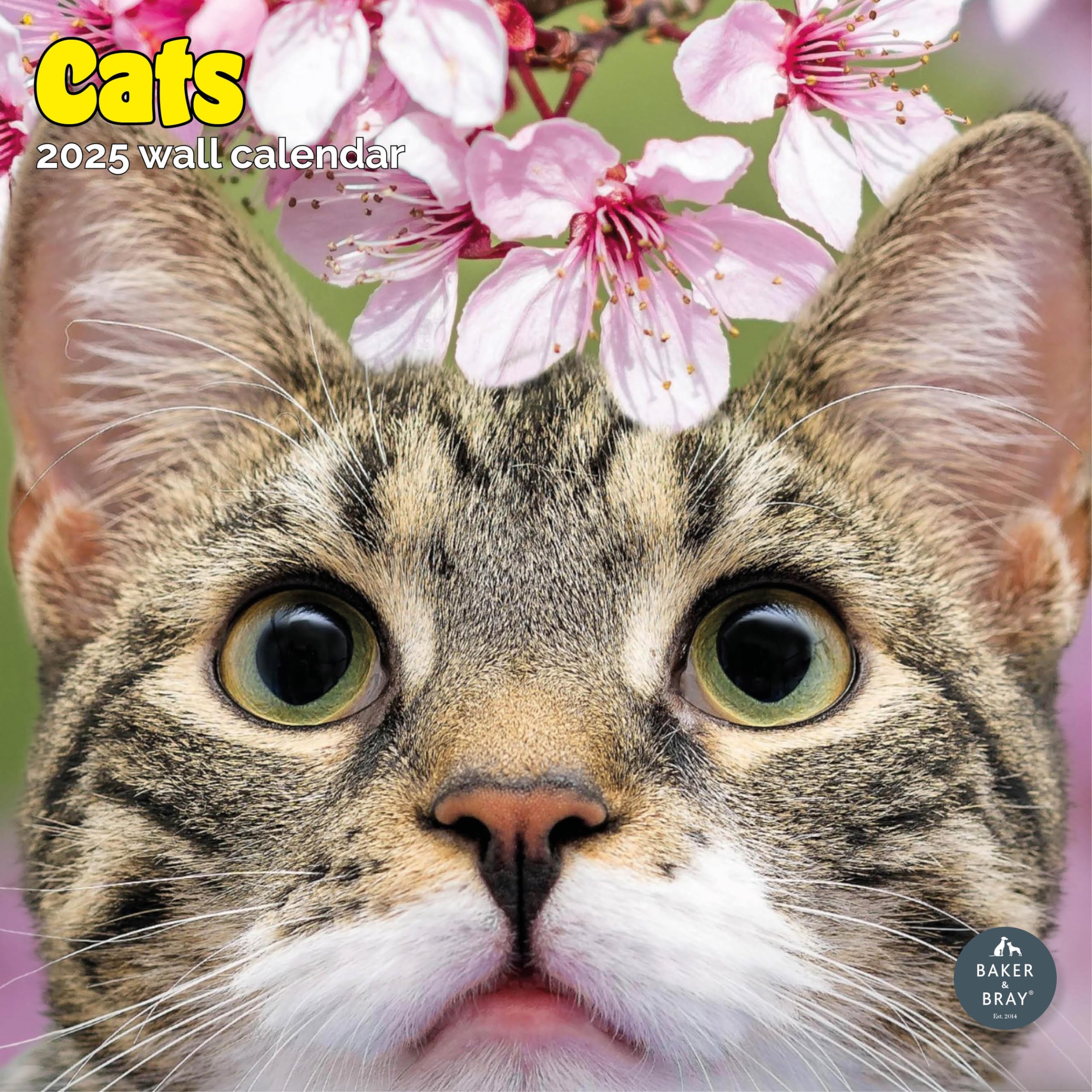 Baker and Bray Cats Calendar 2026, Large Square Wall Calendar With Organisational Stickers, 16 Month, Cats Gift Cat Calendar