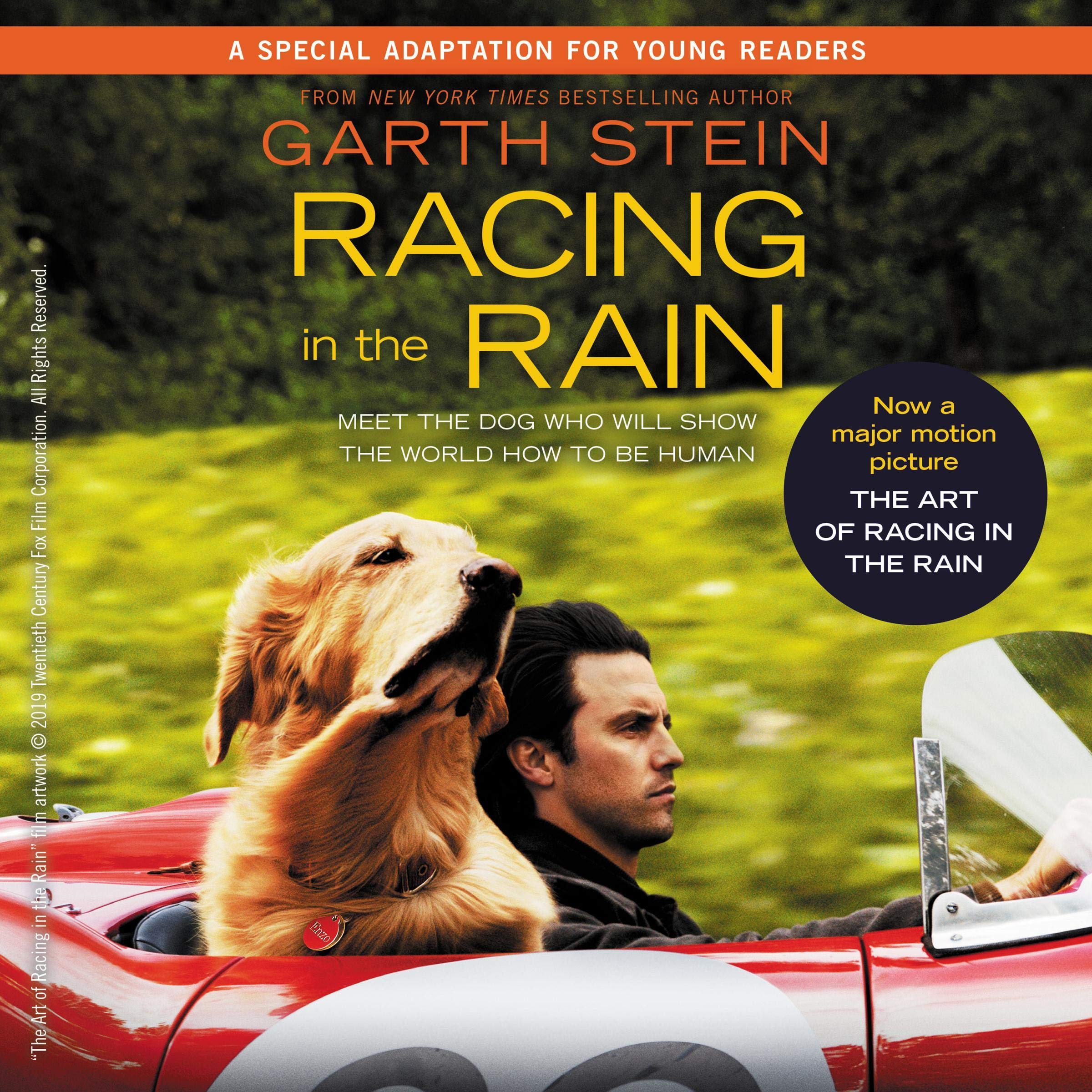 Cover art for Racing in the Rain