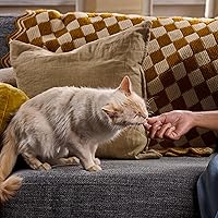 Vista 4 de Meow Mix Irresistibles - Golosinas suaves para gatos hechas con salmón real, bolsa de 3 onzas (paquete de 5)