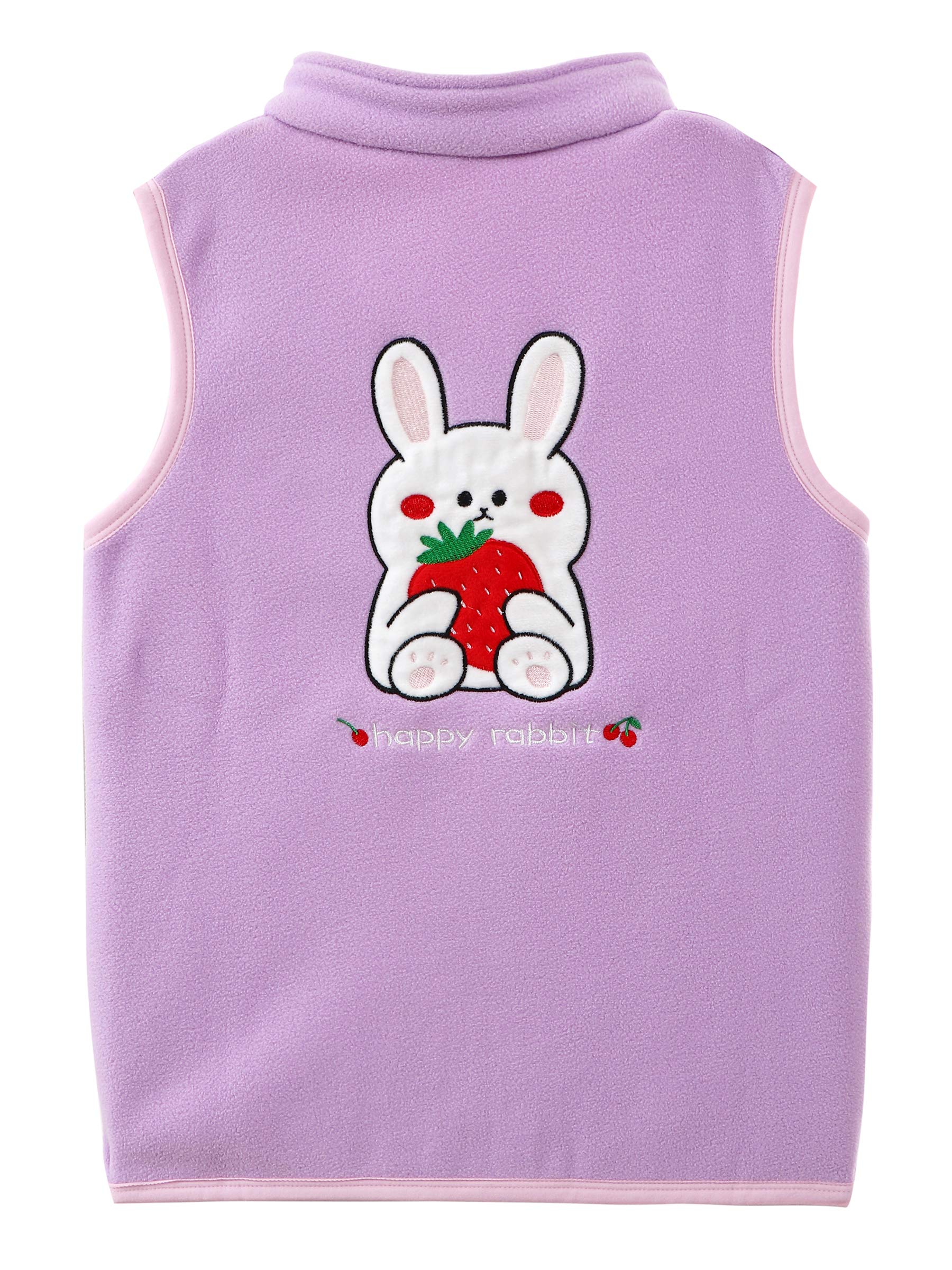 Chaleco de Forro Polar para Bebé Niño Pequeños Niño Niña Chaleco Polar con Cremallera y Cuello Alto Chaqueta Sin Mangas Patrón de Dibujos Animados Talla del Fabricante 80/86/92/98/104/110/116/122/134