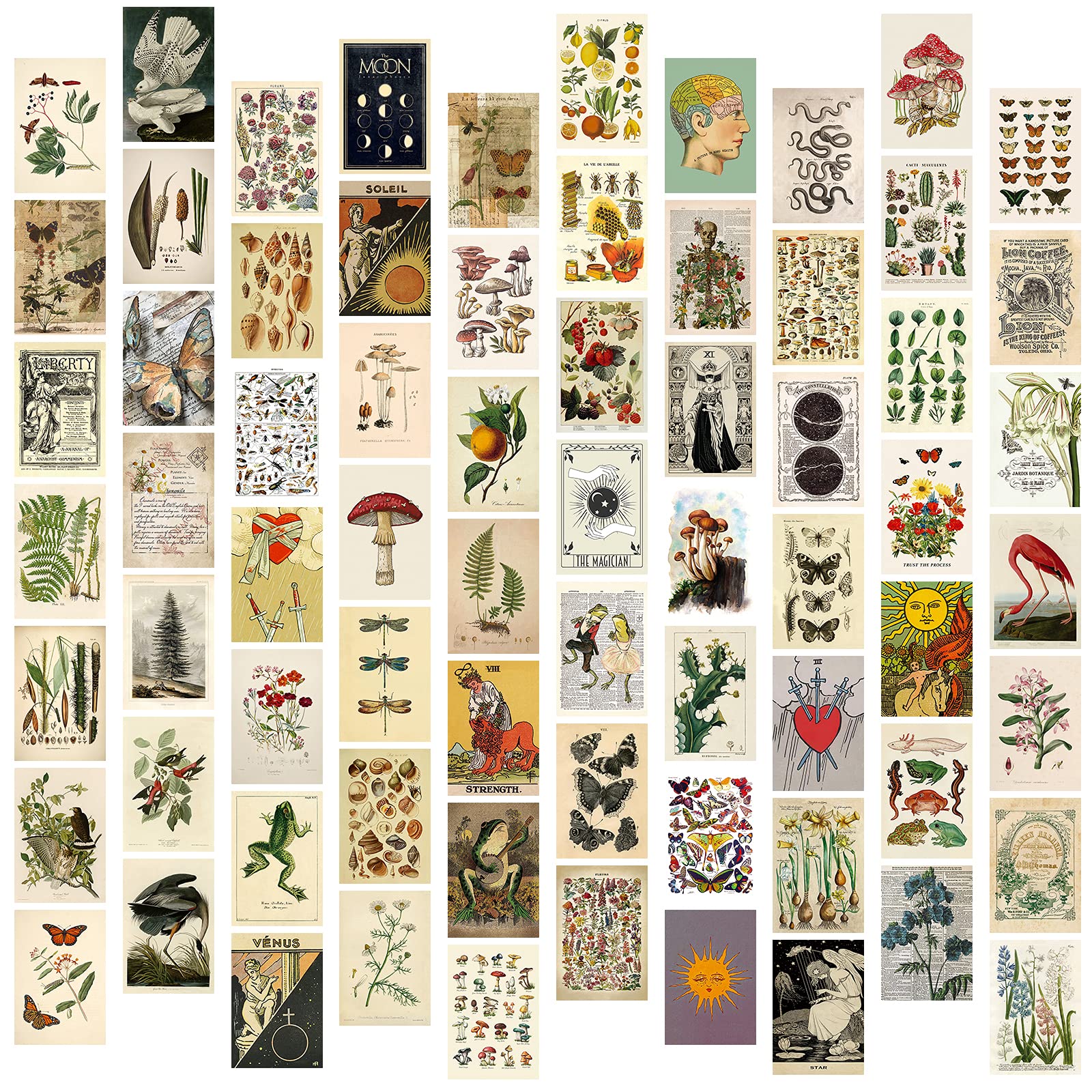 Buy Wall Collage Kit Aesthetic Room Decor, Tarot s for Room Aesthetic ...