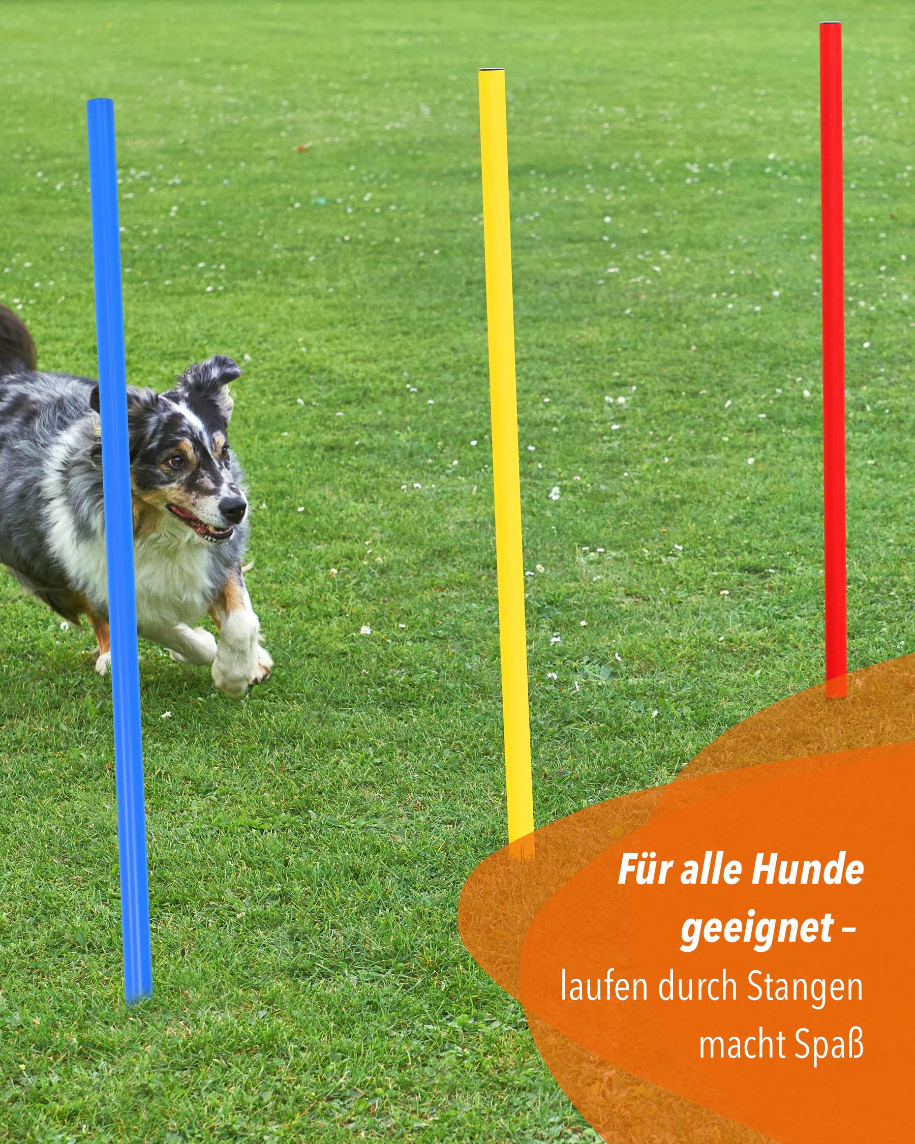 Barres de slalom 100 cm, ø 32 mm - Lot de 5 - Barres d'entraînement avec pointe en métal - pour entraînement d'agilité et de coordination - pour football et sport canin (Rouge)