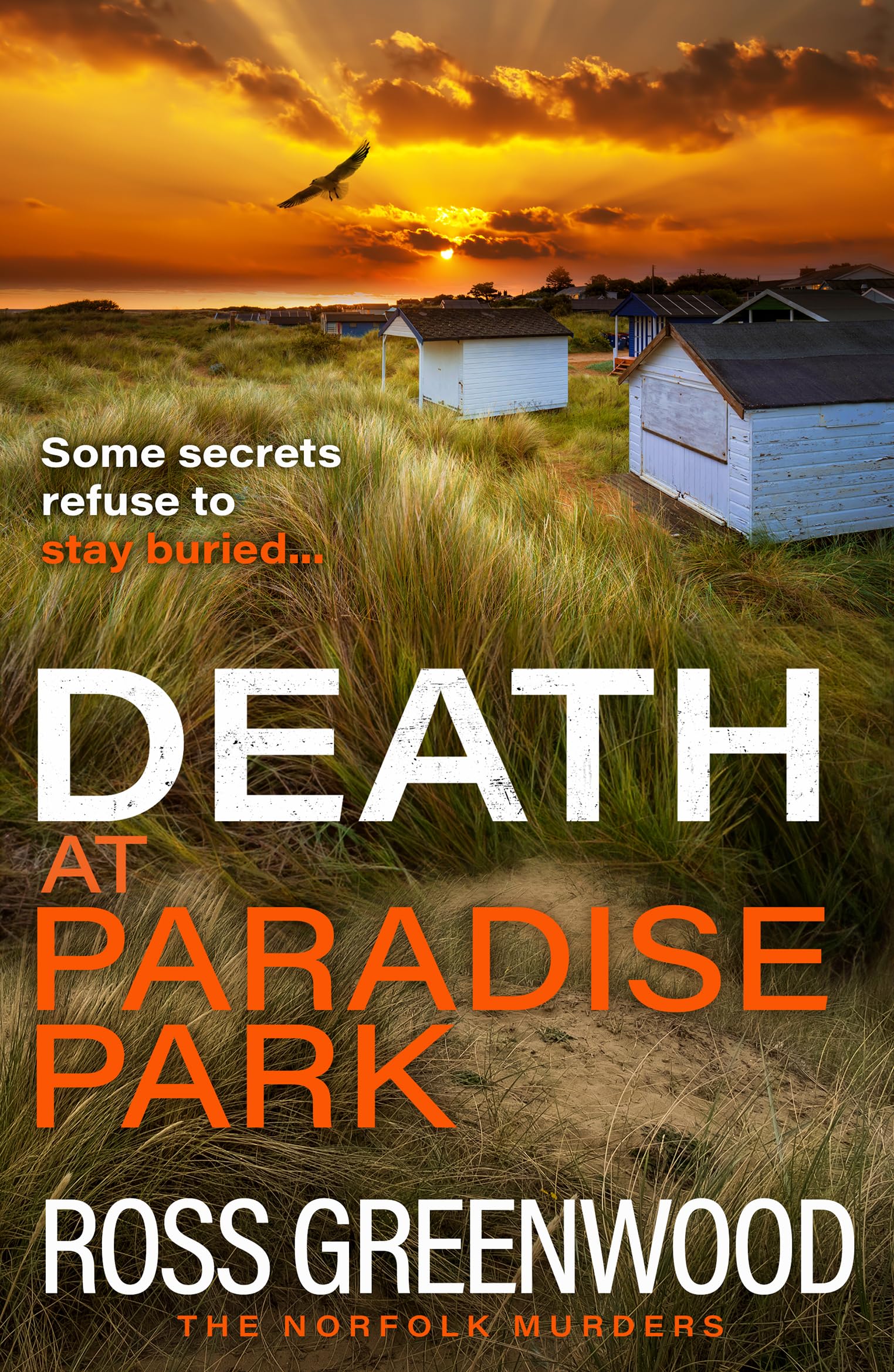 Death at Paradise Park: An addictive crime thriller from Ross Greenwood (The Norfolk Murders, 2)