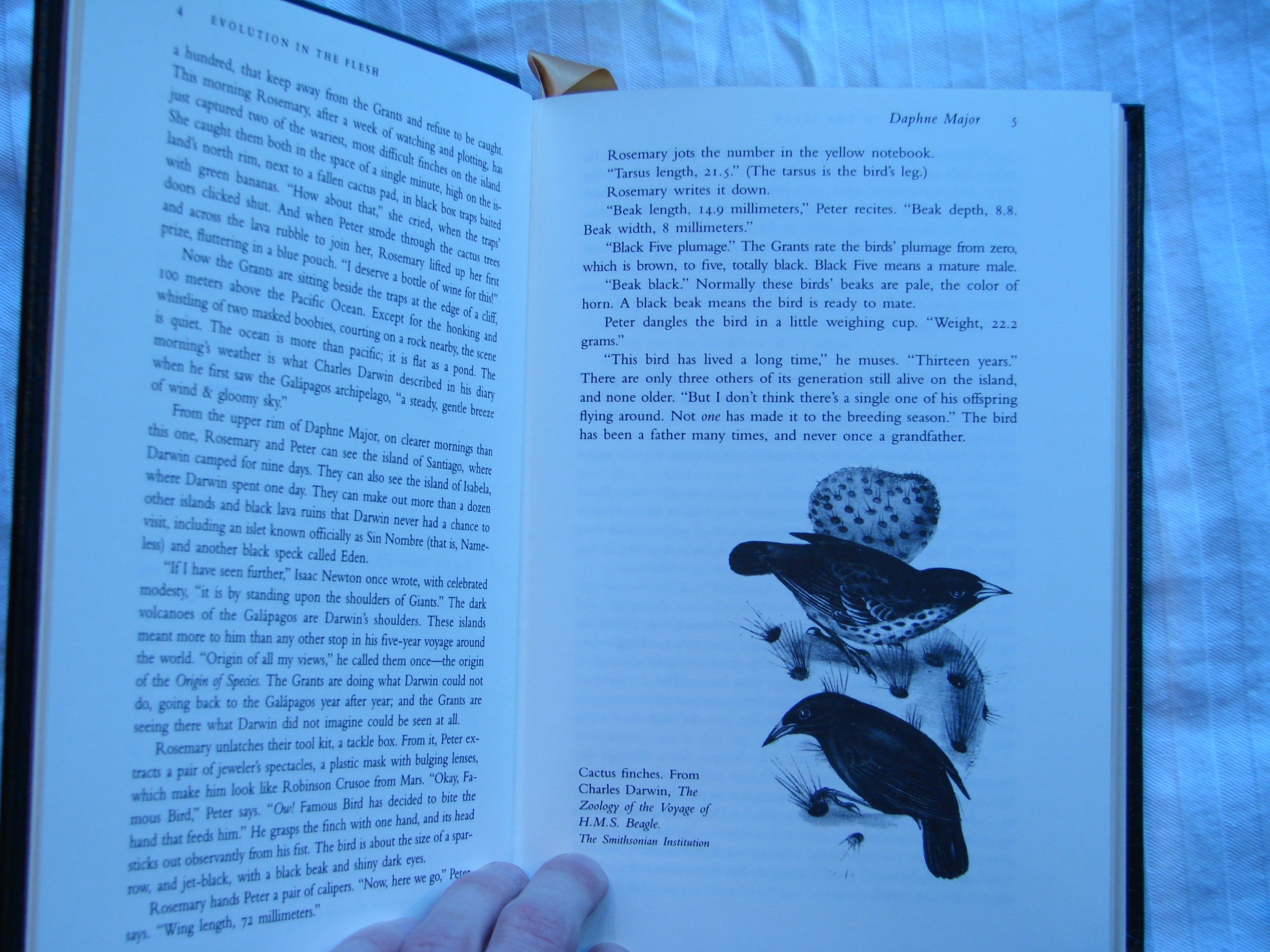 the Beak of the Finch - Image 4