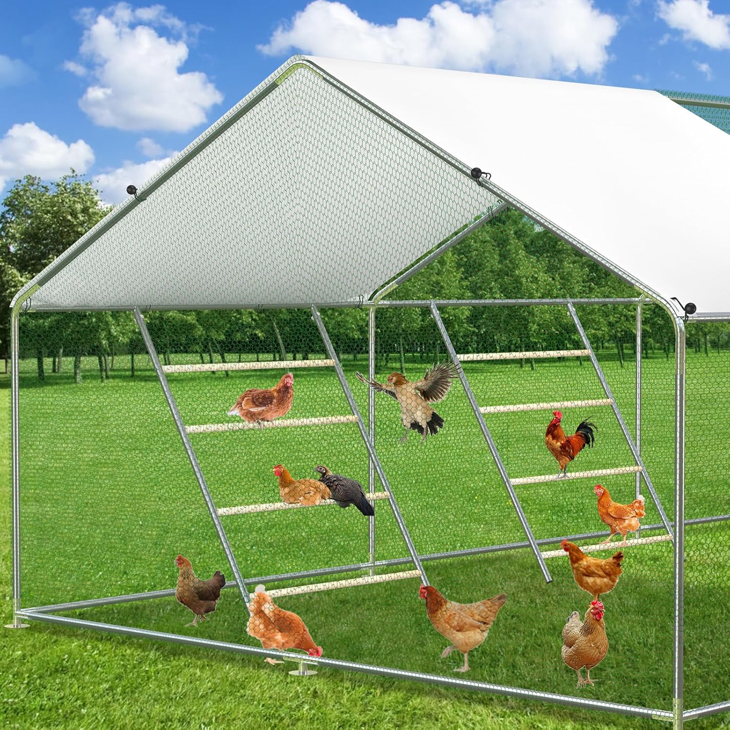MEETWARM Chicken Perch, Chicken Coop Strong Roosting Bars