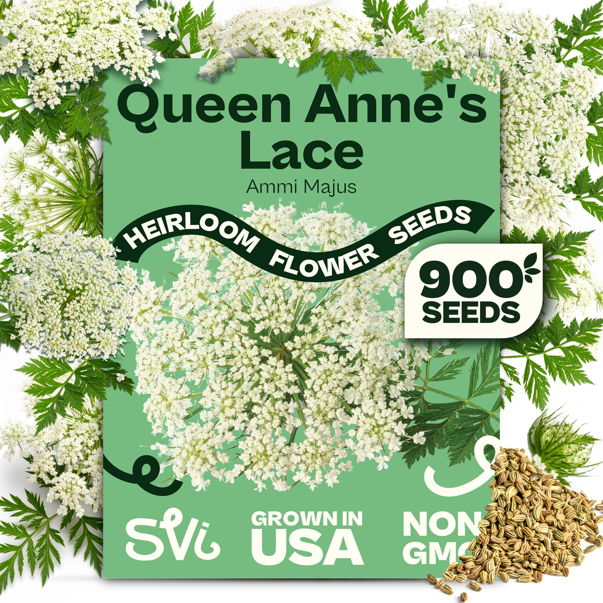 SVI 900 Queen Anne's Lace Seeds for Planting, Bishop's Flower Seed Packets (Ammi majus) - Bullwort, Laceflower, Heirloom & Organic Wildflower, False Annes Lace - Wild Flower Seeds to Plant Outside
