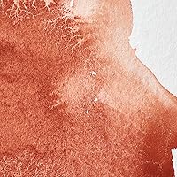 Vista 454 de Winsor & Newton - Pintura para acuarela profesional