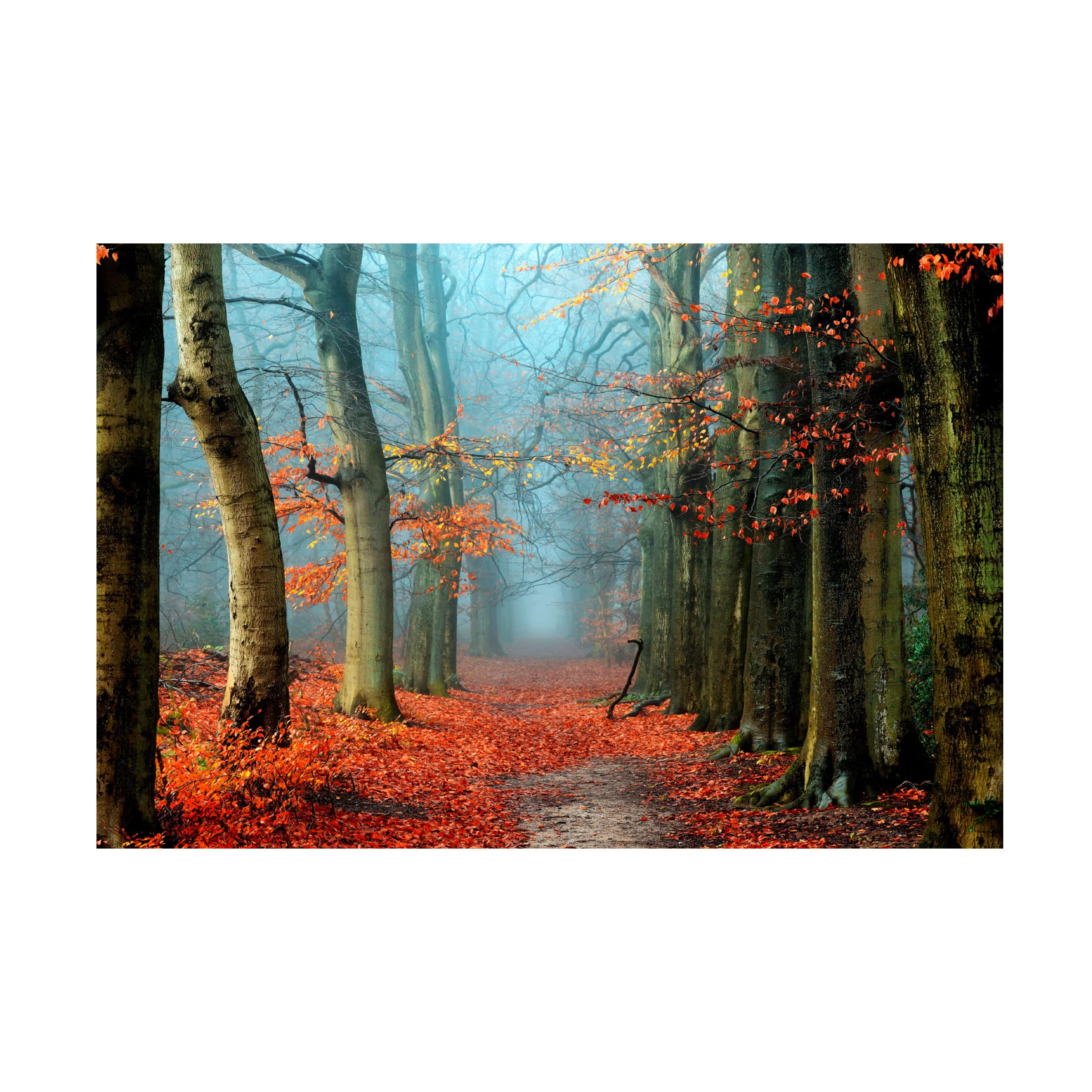 Trademark Fine Art 'Bussum In Fall' Canvas Art by Lars Van de Goor