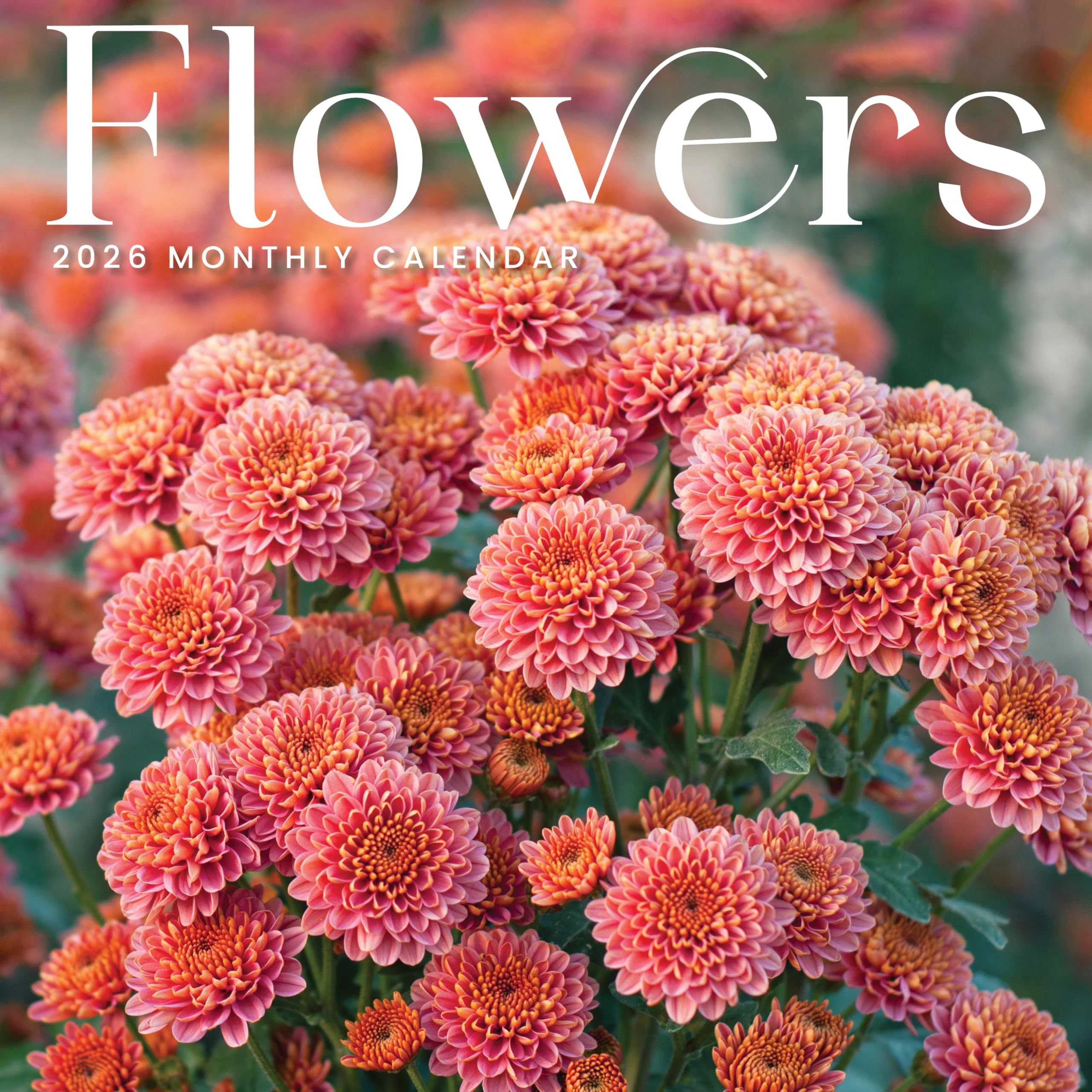 Flowers 2026 Calendar, 2026 Wall Calendar, Roses, Tulips, Lilly, Iris, Marble City Press, 12” x 24”, Sustainable, Plastic Free, Printed on Thick Art