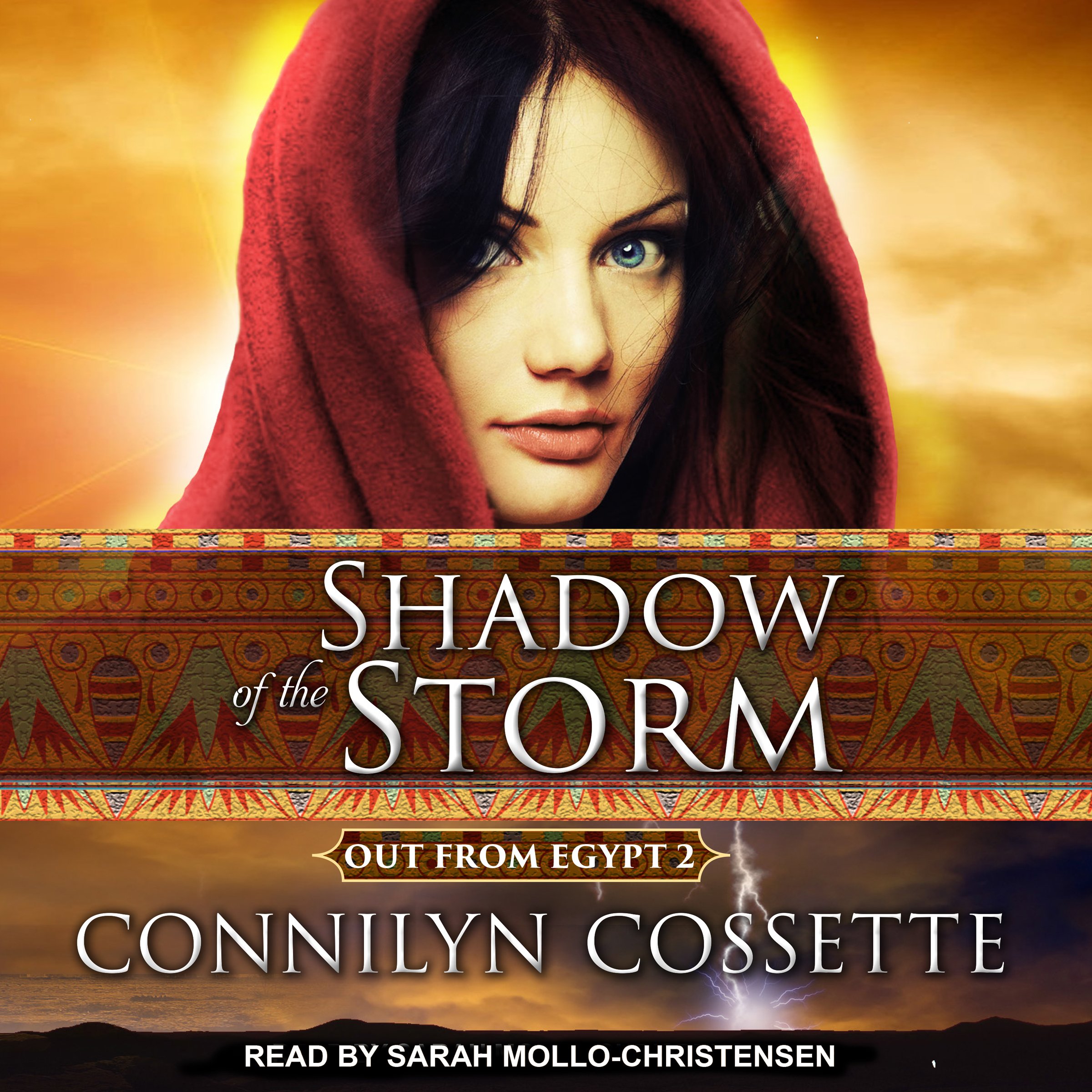 Cover art for Shadow of the Storm